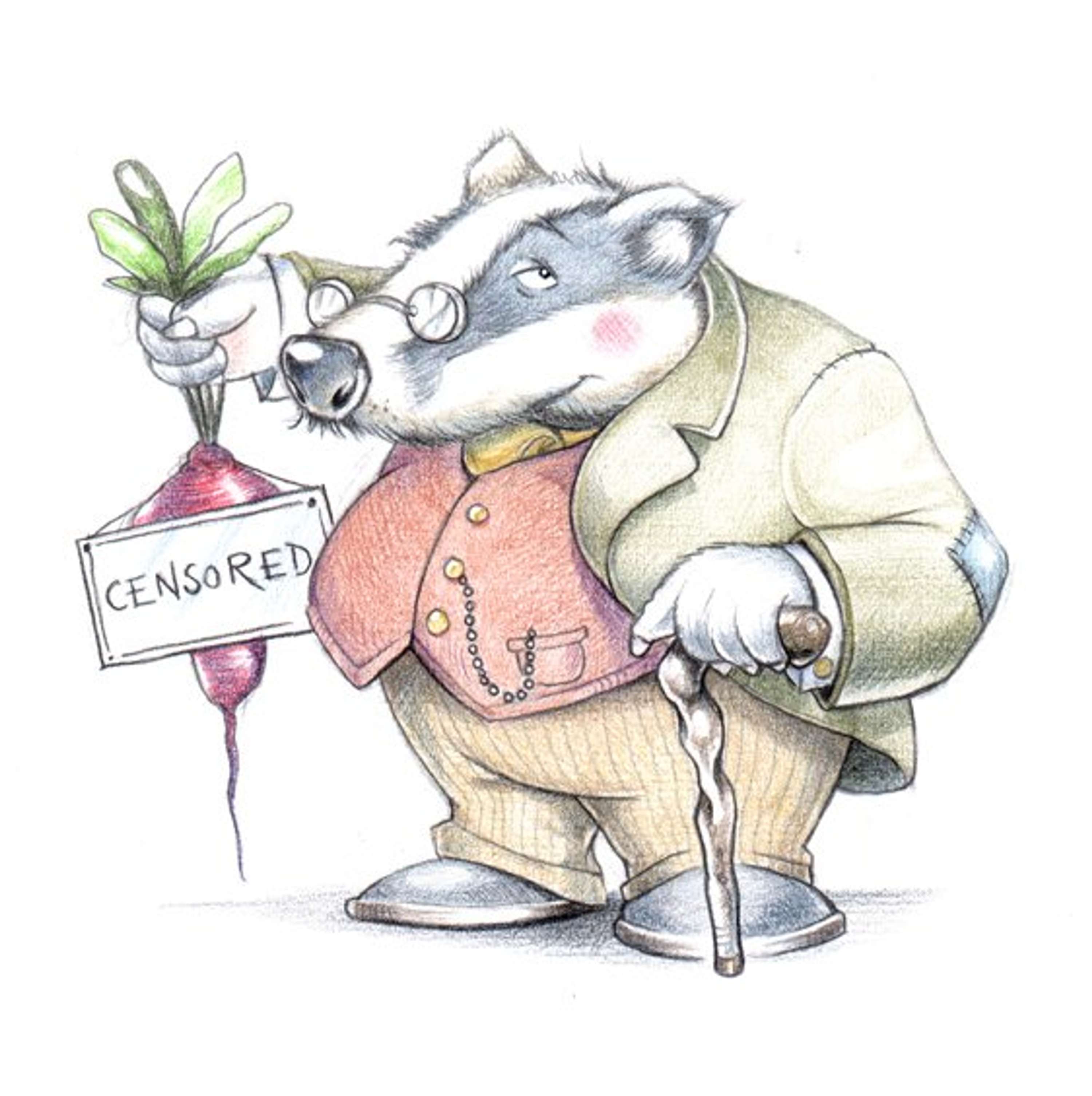 Mr Badger by David Smith