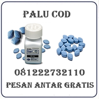 081222732110 Jual Obat Viagra Di Palu logo