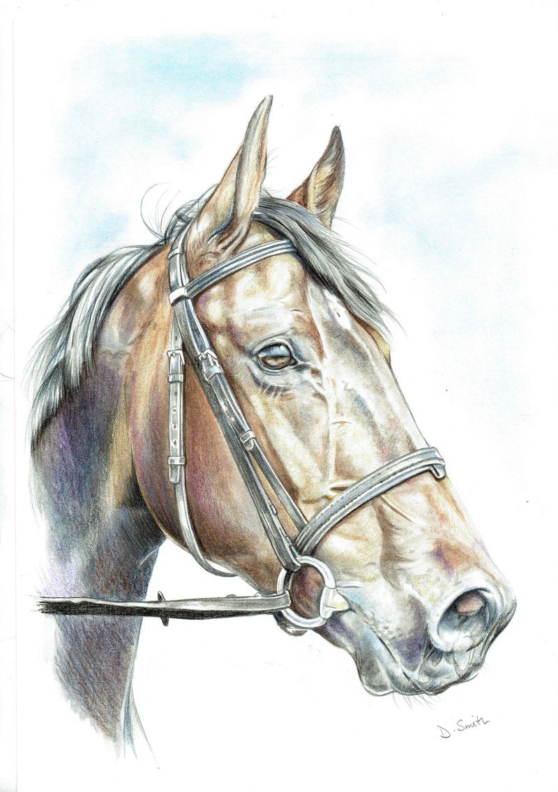 Private horse commission by David Smith
