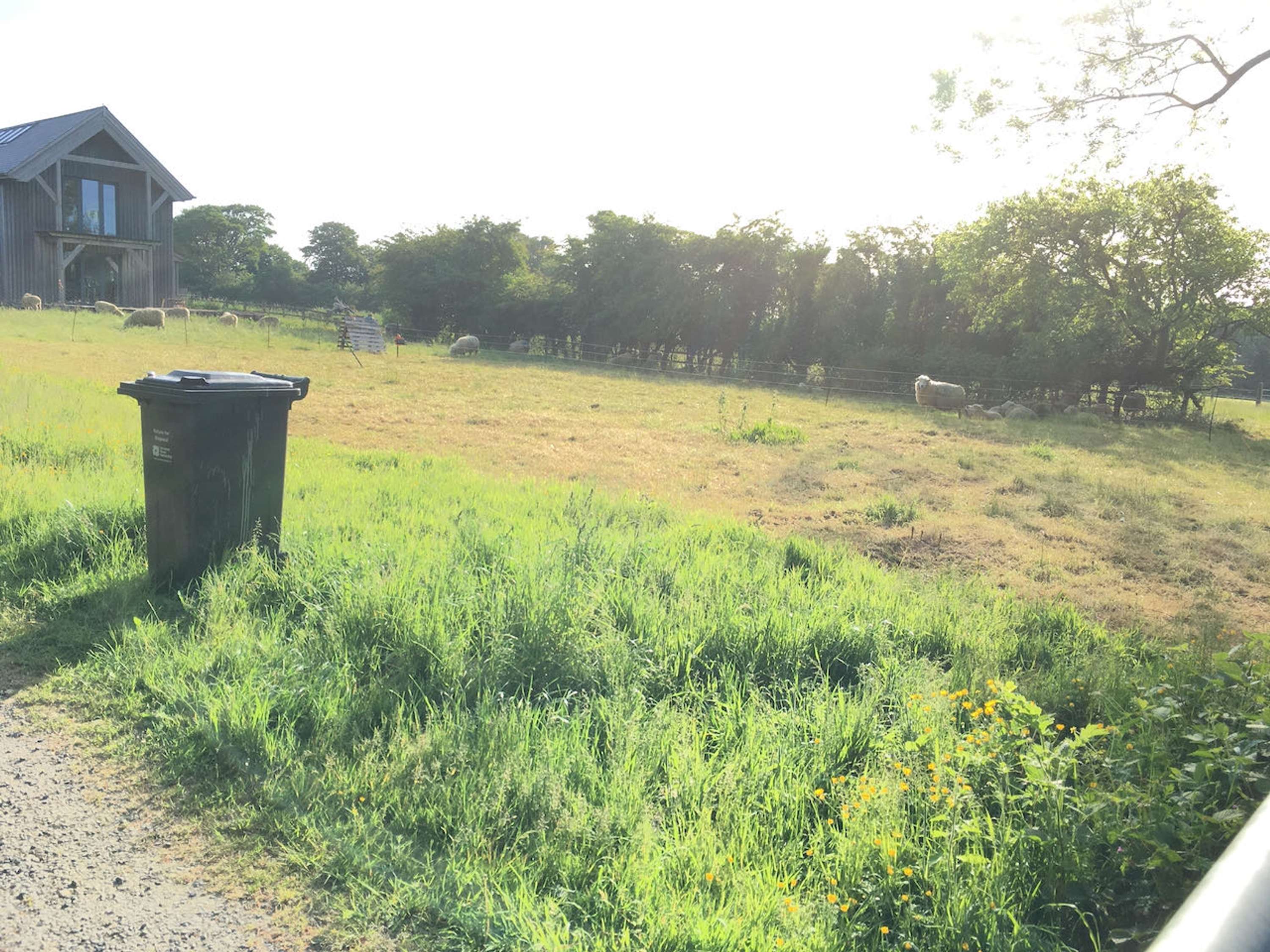 Regenerative Grazing by Vickie Ward