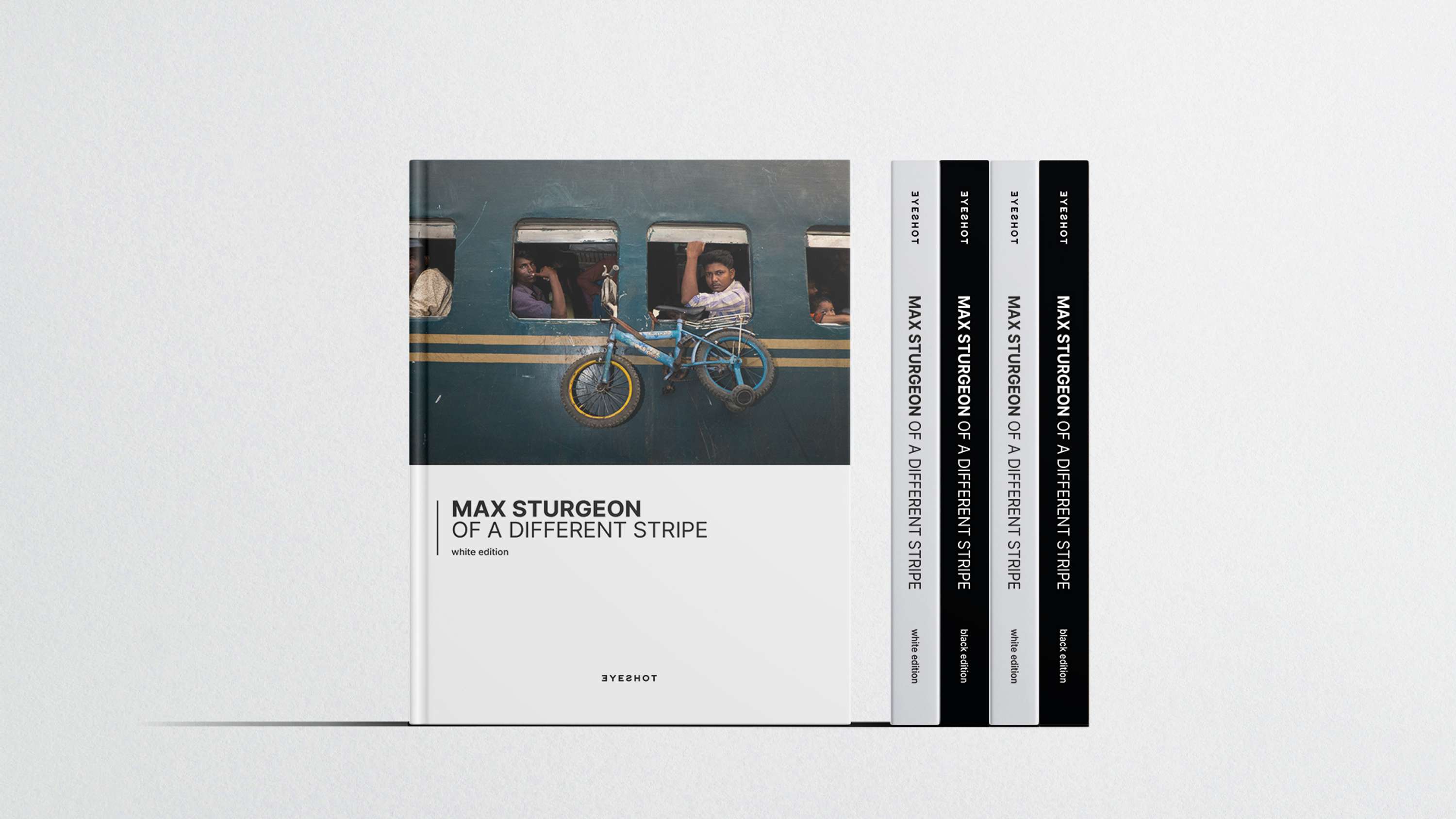 Editorial | Eyeshot Publisher | Of A Different Stripe by Louise de Cours