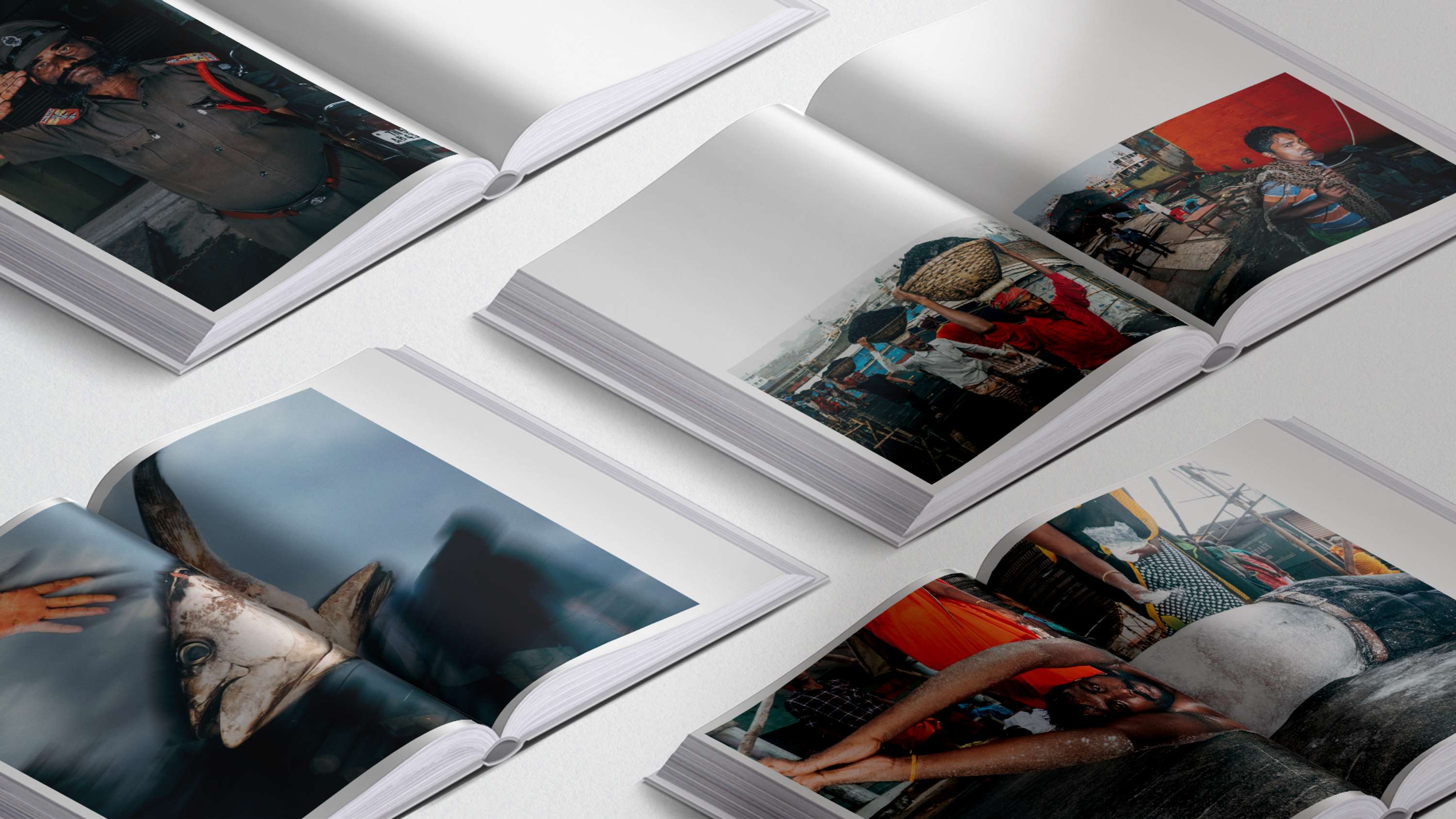 Editorial | Eyeshot Publisher | Of A Different Stripe by Louise de Cours