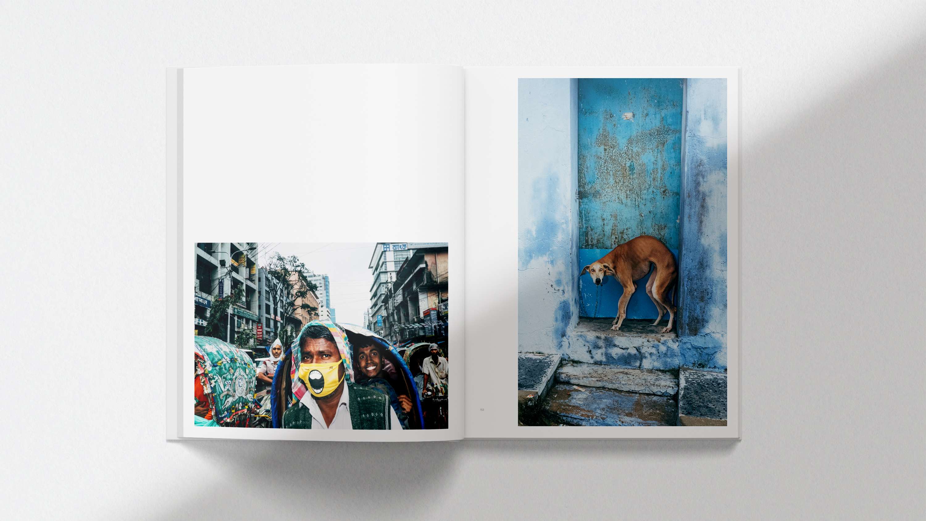 Editorial | Eyeshot Publisher | Of A Different Stripe by Louise de Cours