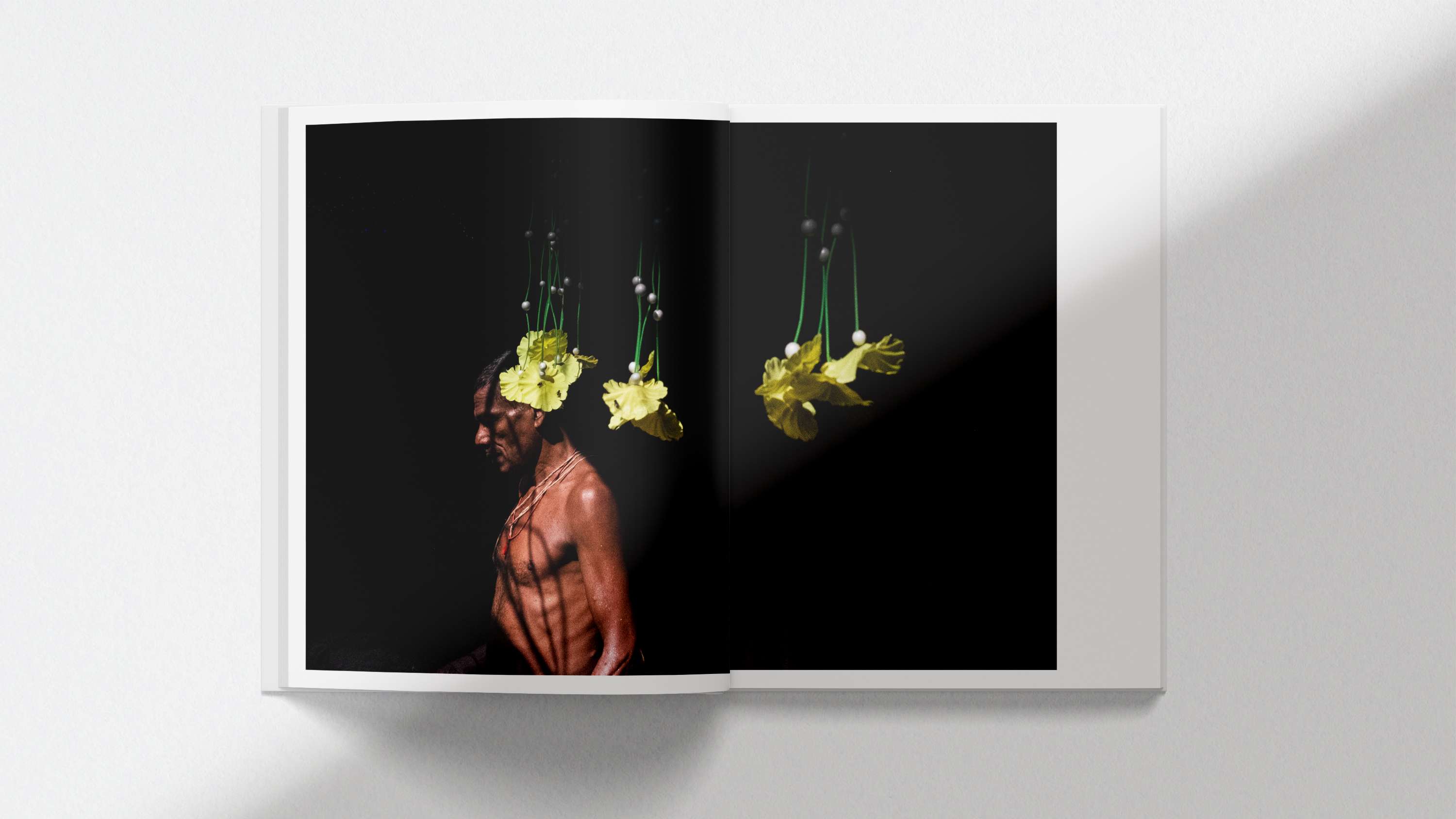 Editorial | Eyeshot Publisher | Of A Different Stripe by Louise de Cours