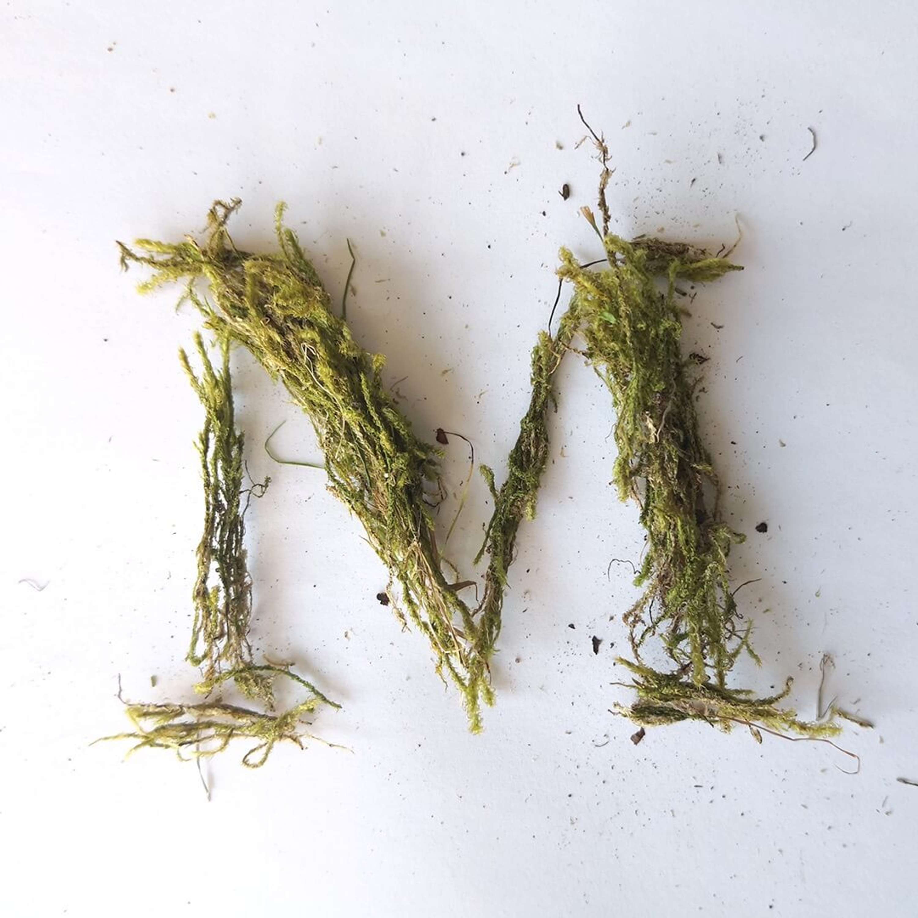 Type Design - 36 days of type by Jenny Hiley