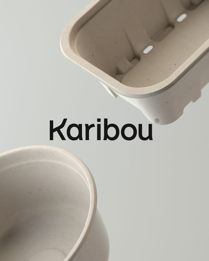 Karibou by Dani Avila
