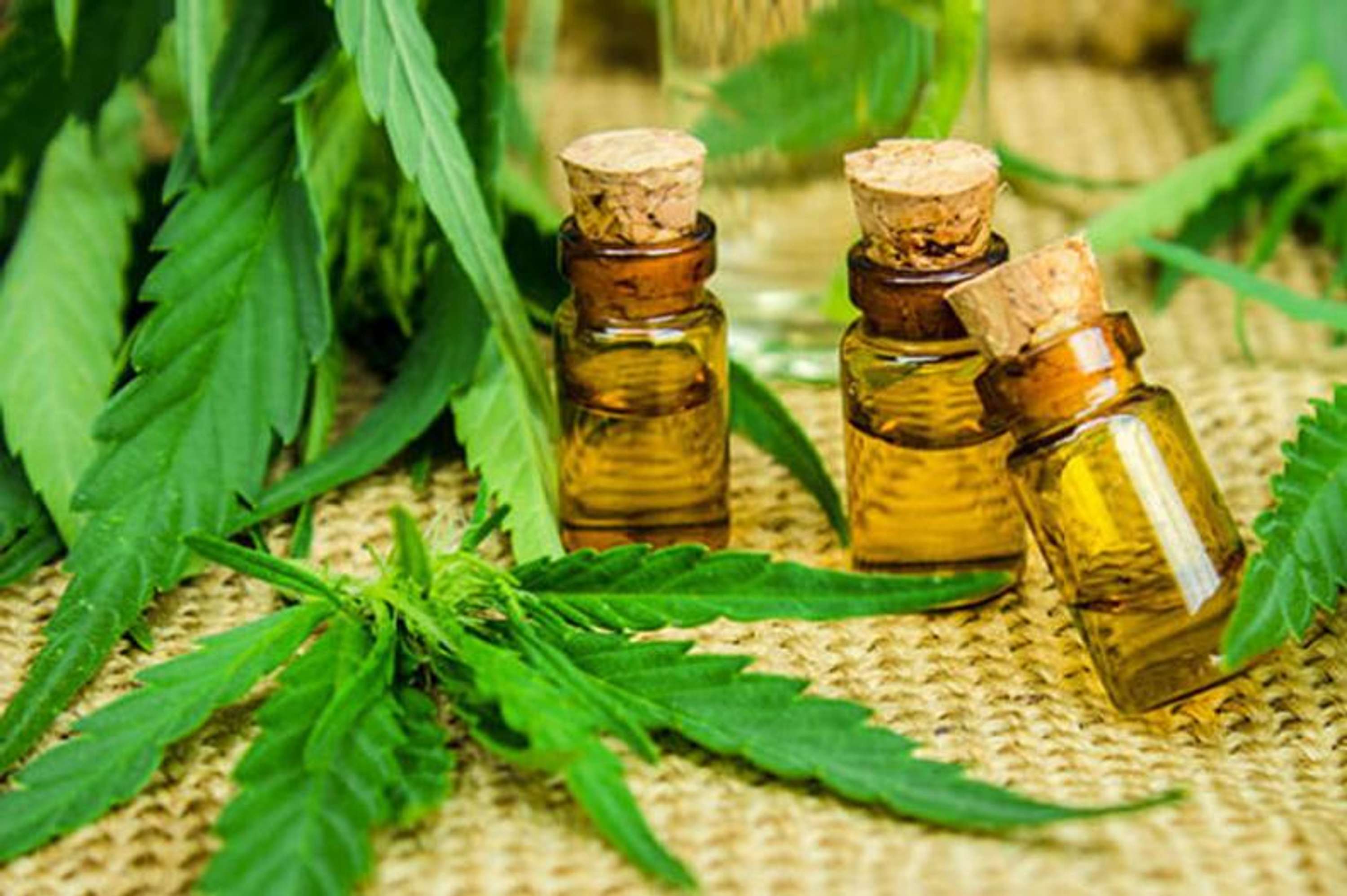 Natures Only CBD Oil Reviews Shark Tank & Pain Relief Formula No Side Effects & Read Health Benefits! by Natures Only CBD Oil Reviews