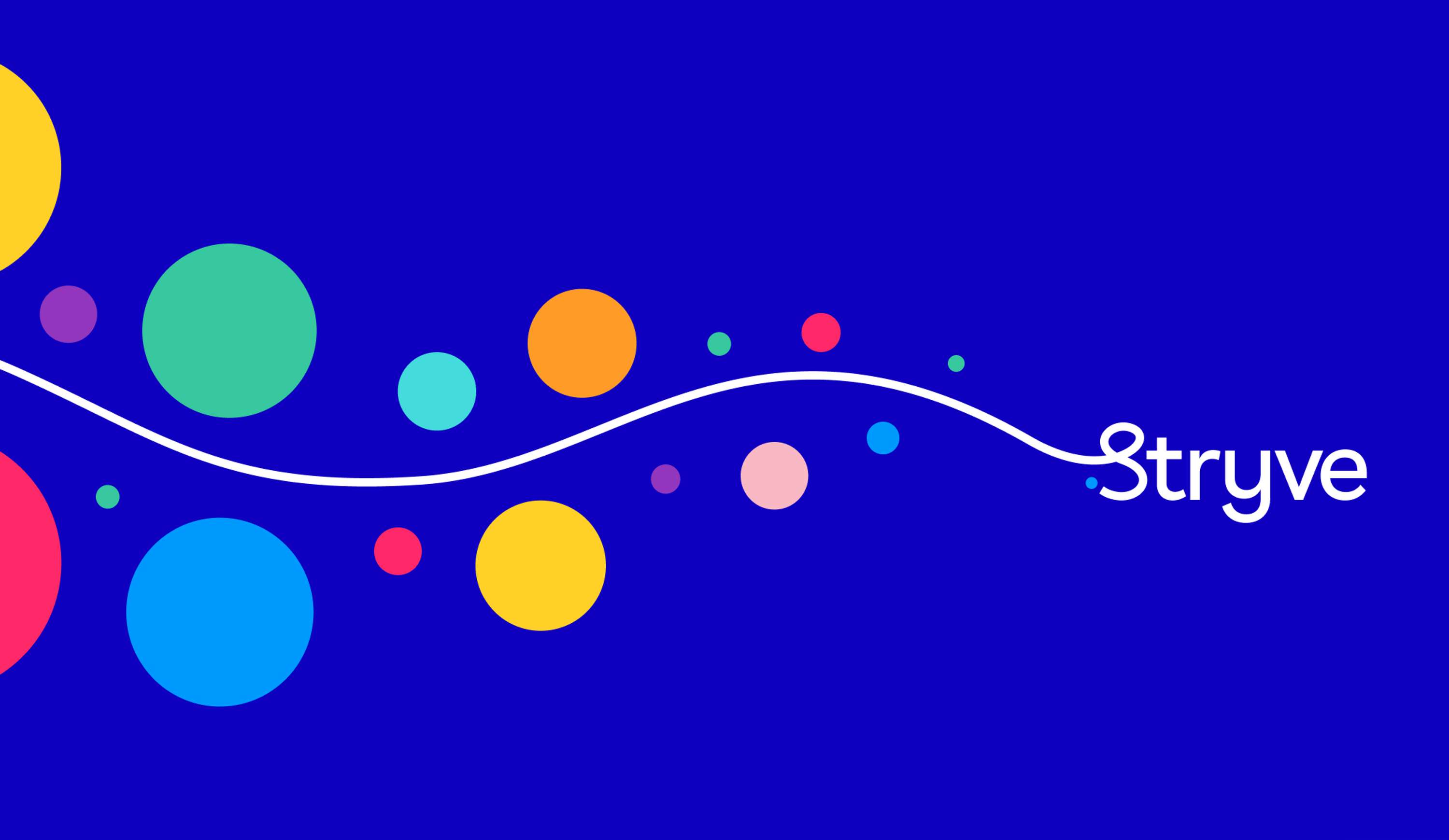 Stryve Brand & Website by Vovi