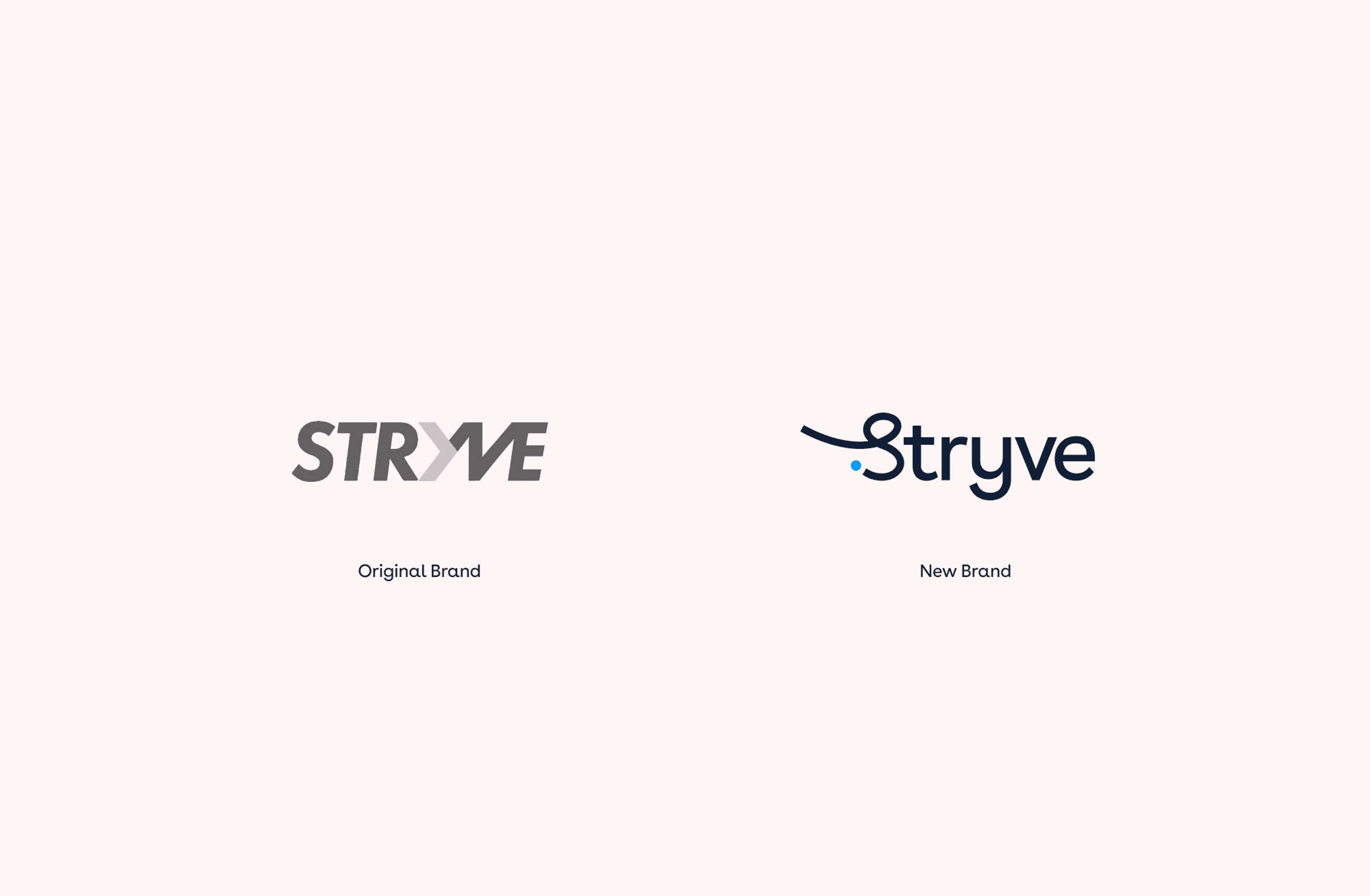 Stryve Brand & Website by Vovi