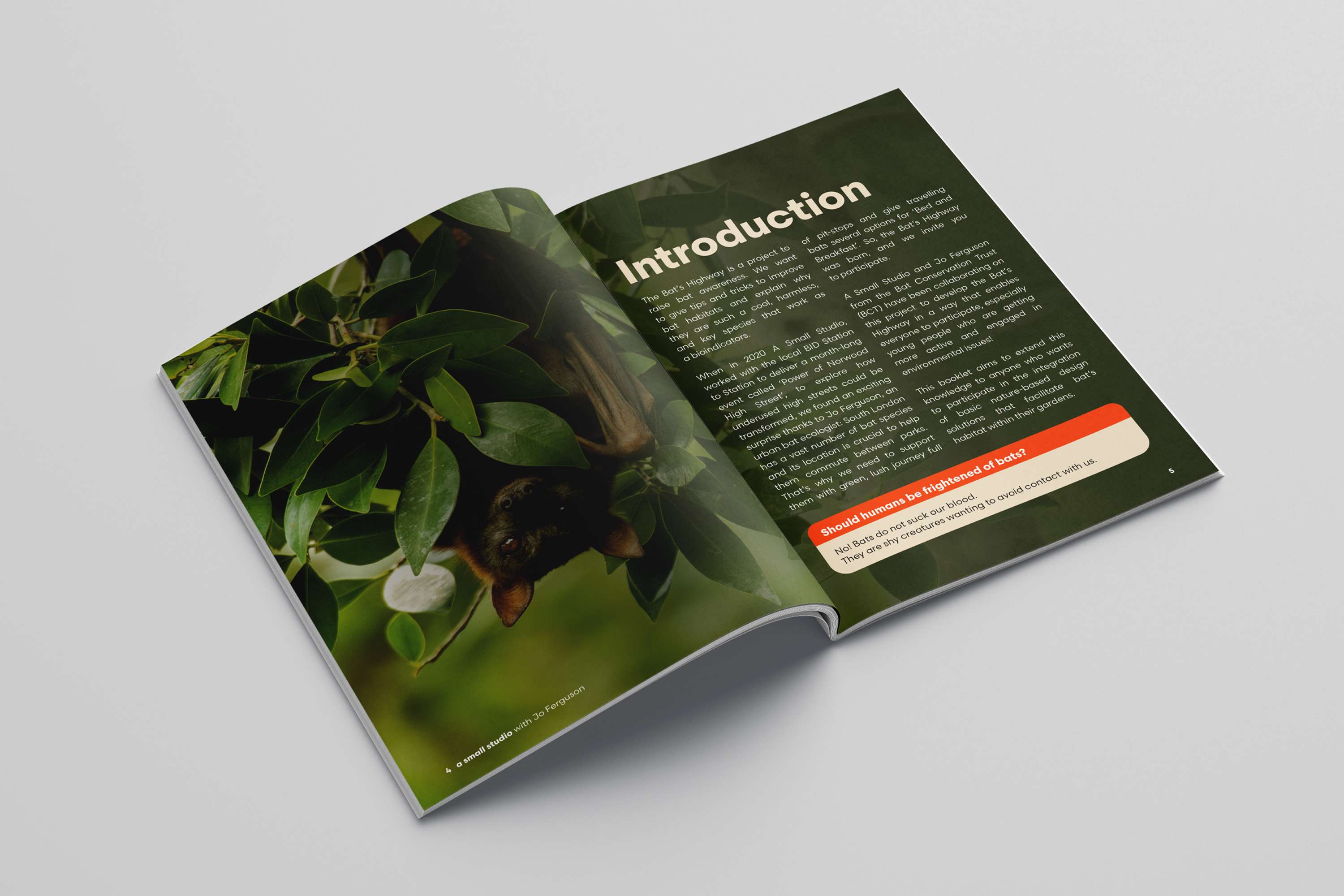 Adobe Live by Kieron Lewis