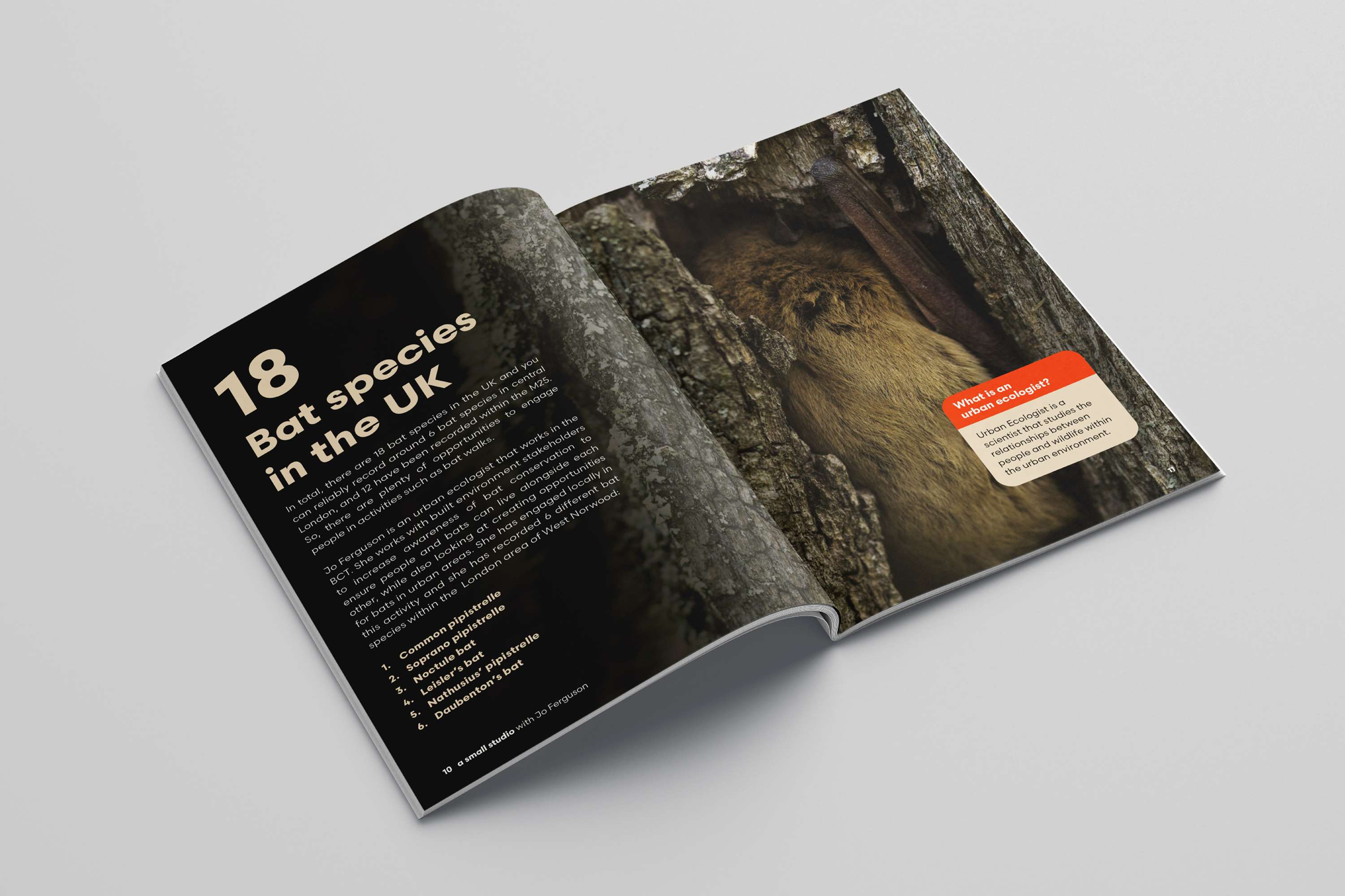 Adobe Live by Kieron Lewis