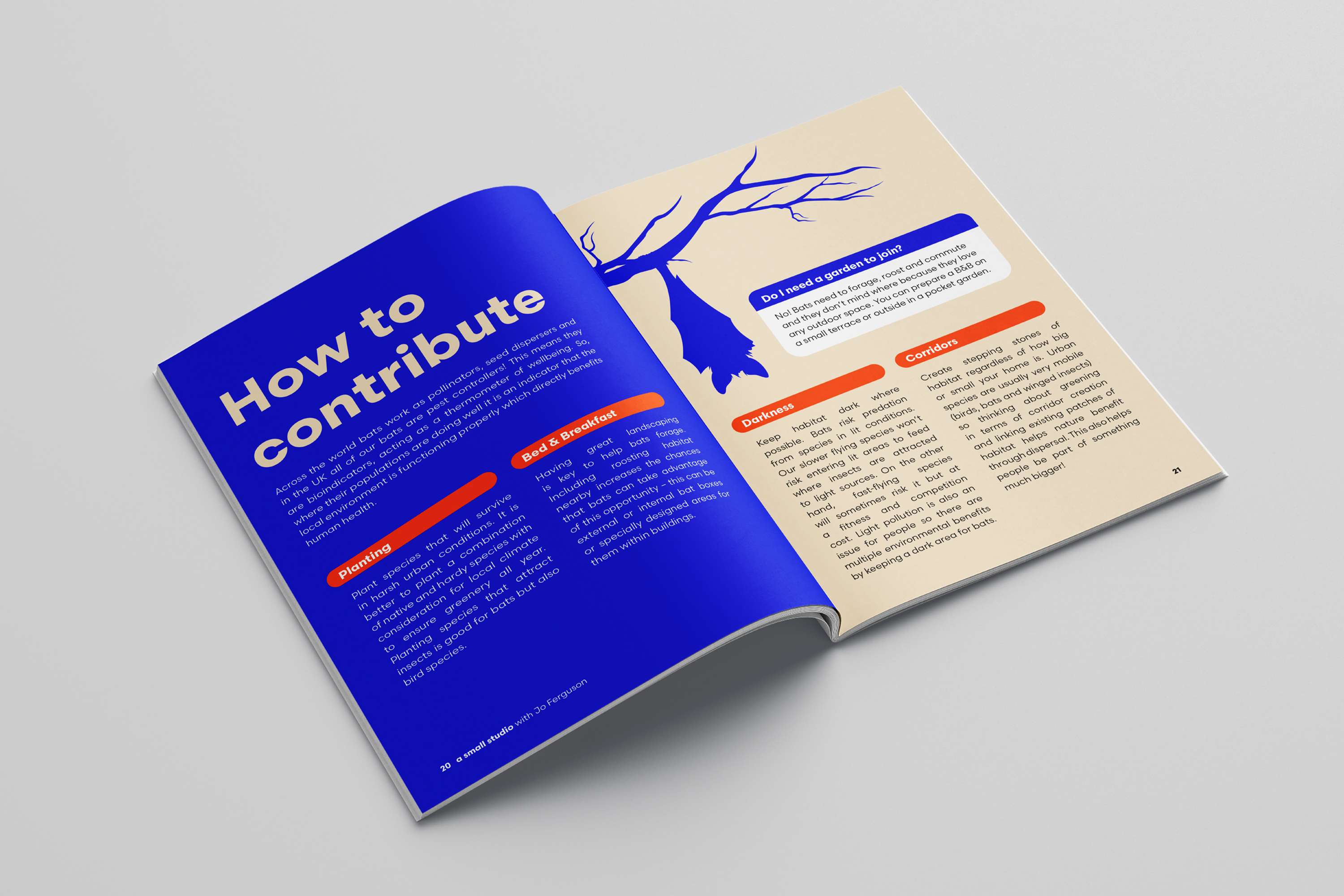 Adobe Live by Kieron Lewis