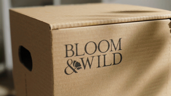 Bloom & Wild Identity & Design by Zoe Williams