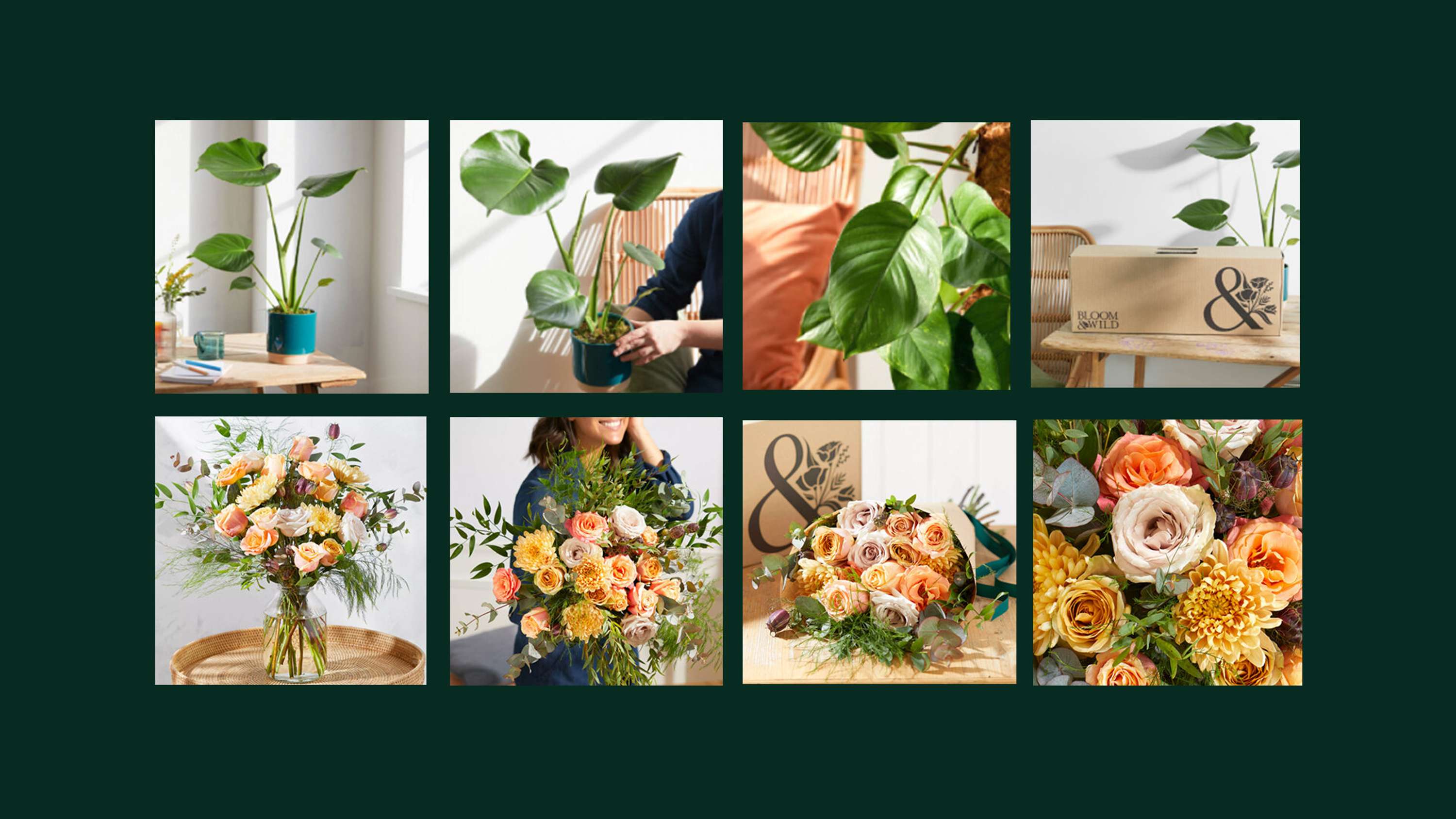 Bloom & Wild Identity & Design by Zoe Williams