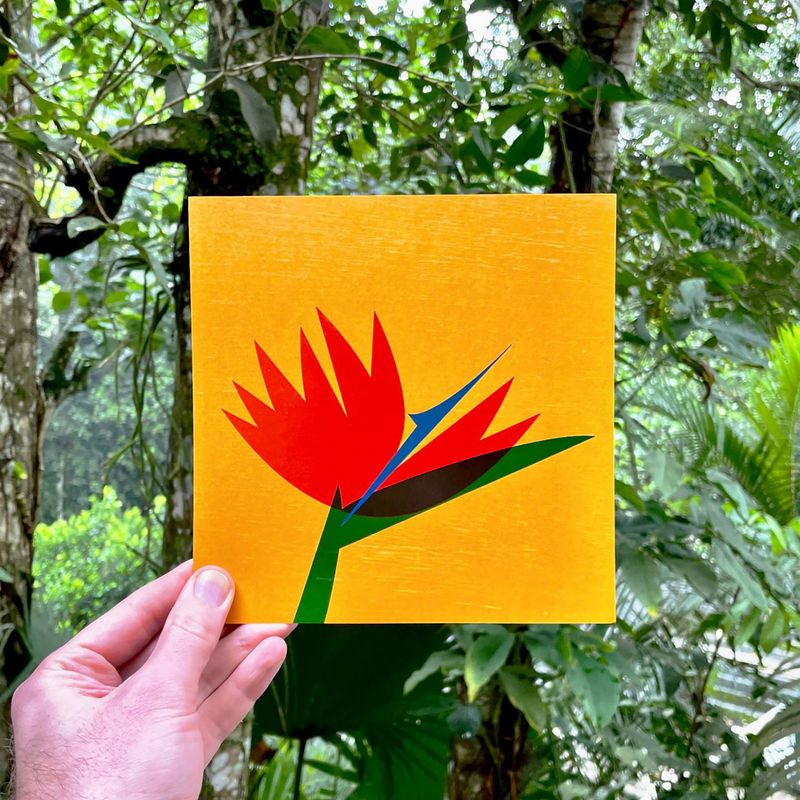'Birds of Paradise EP' Letterpress Print by Alexander Horne