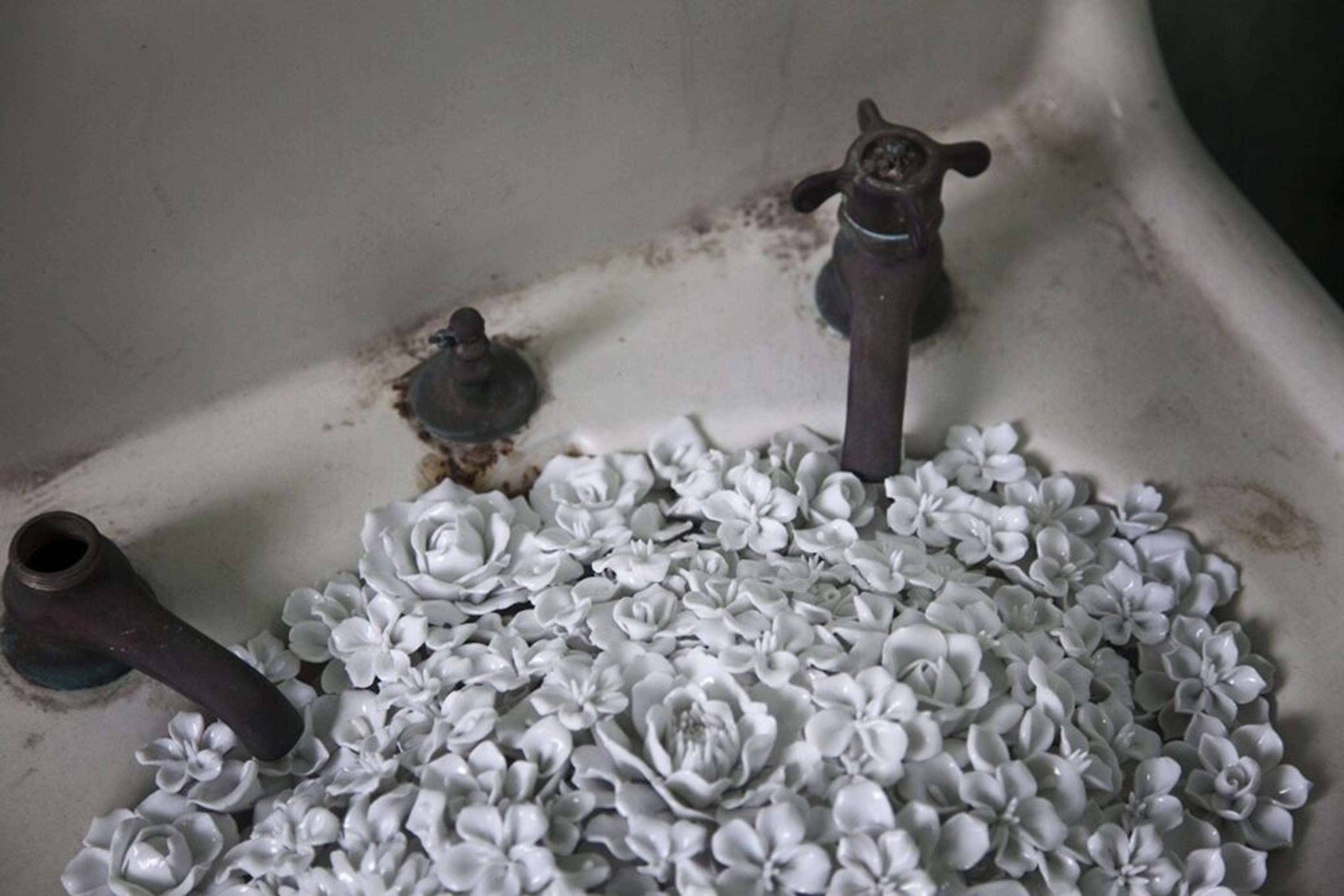 The values of freedom in art- Ai Weiwei the ceaseless voice for the voiceless. by Insights of an Eco Artist