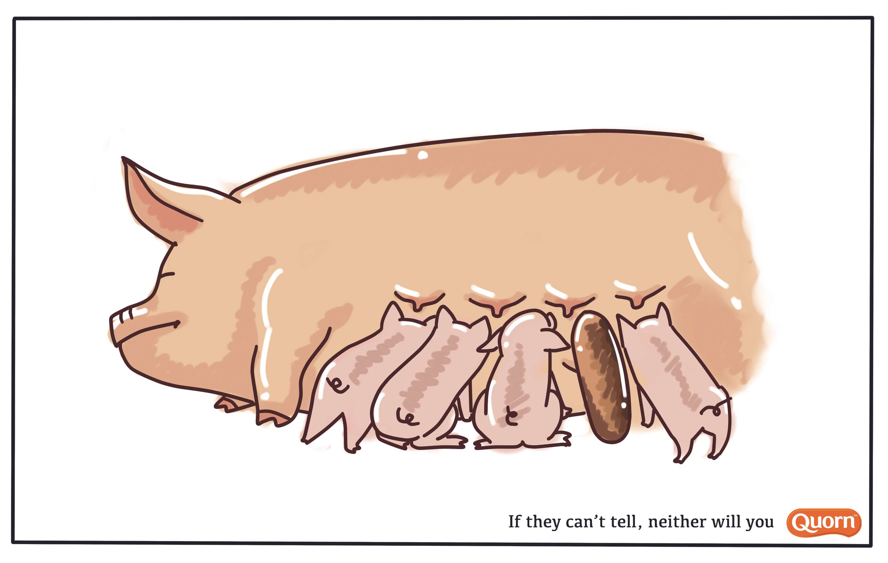 Quorn - If they can't tell by Ran Duan