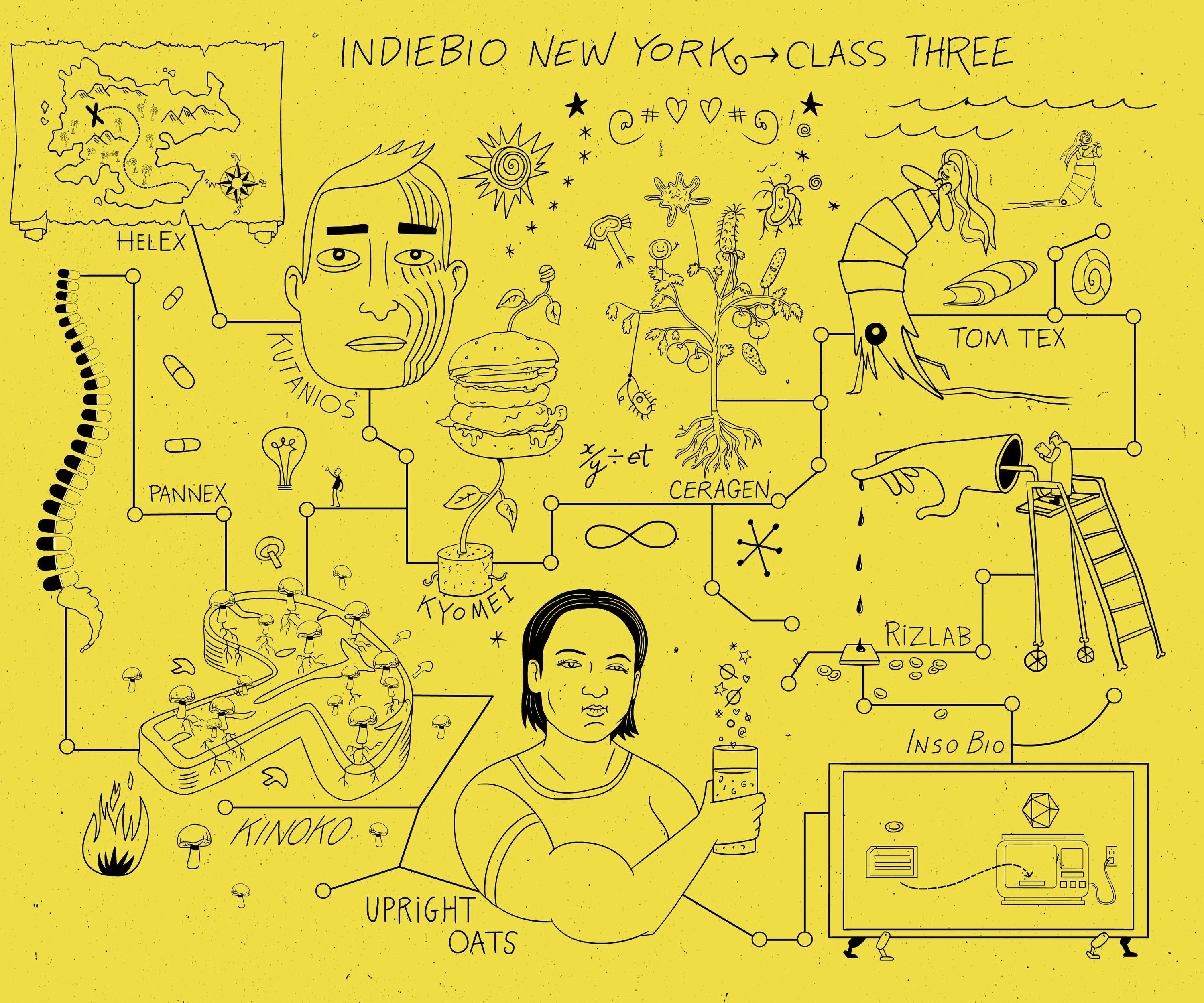Indie Bio by Tom Gravestock