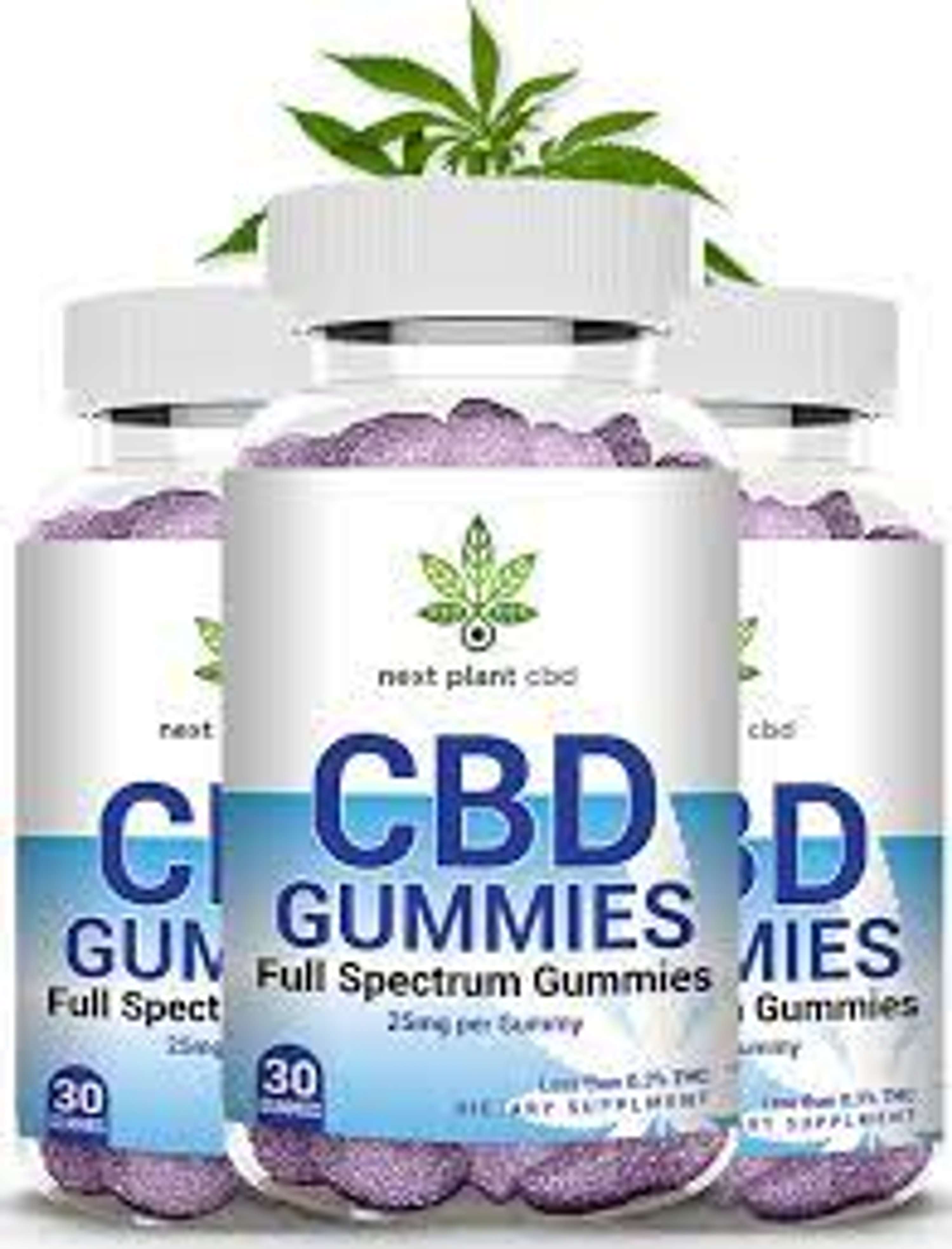 Natures Boost CBD Gummies Reviews Effectively or Not? Actually look at by Natures Boost CBD Gummies Reviews Natures Boost CBD Gummies Reviews