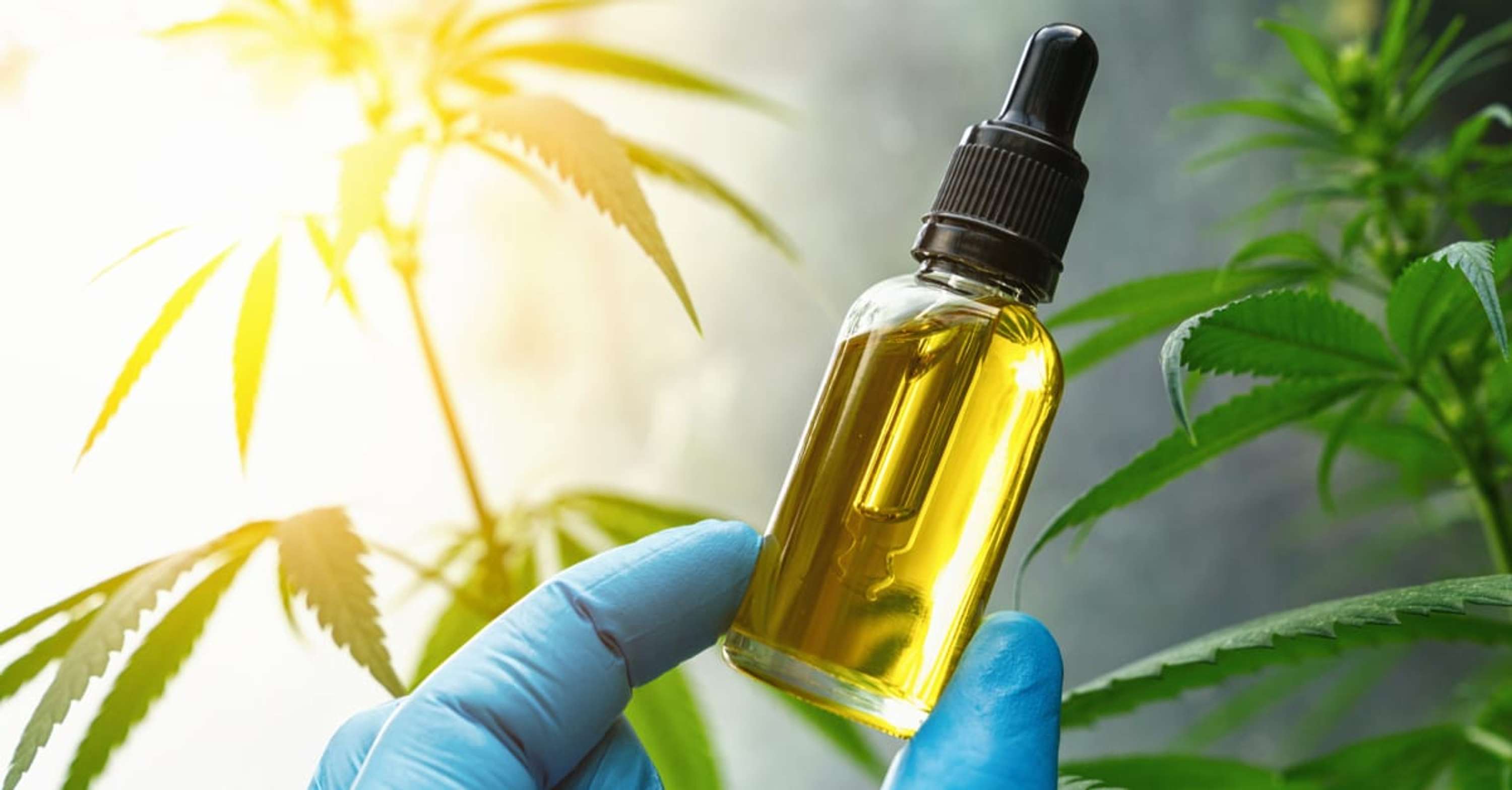 Trunature CBD Oil  Reviews SCAM ALERT ! Read This Before Buy! by danichusle danichusle
