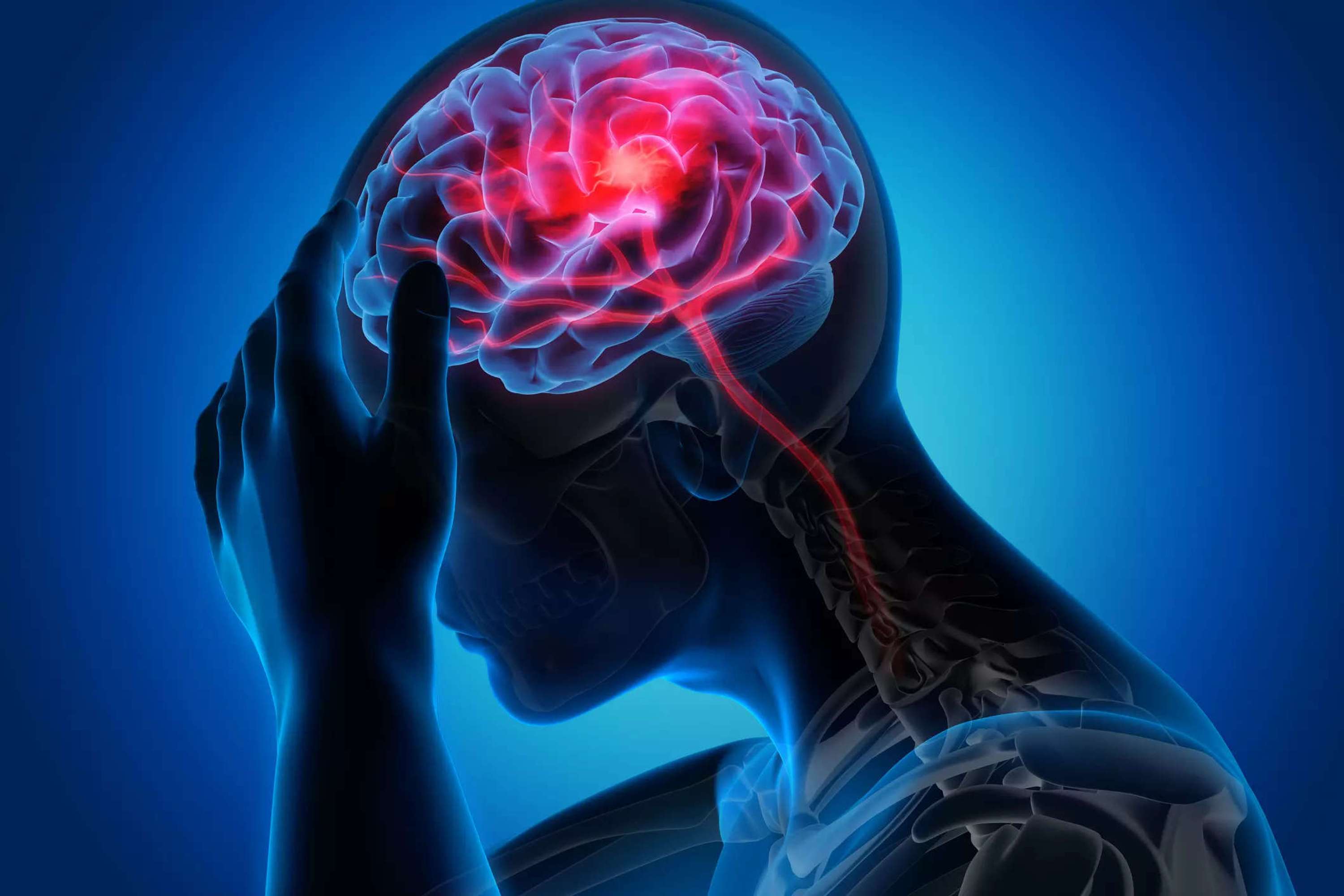 Mind Lab Pro Best Brain Health Product Price And Ingredients In 2022? by jsilsonarr herr
