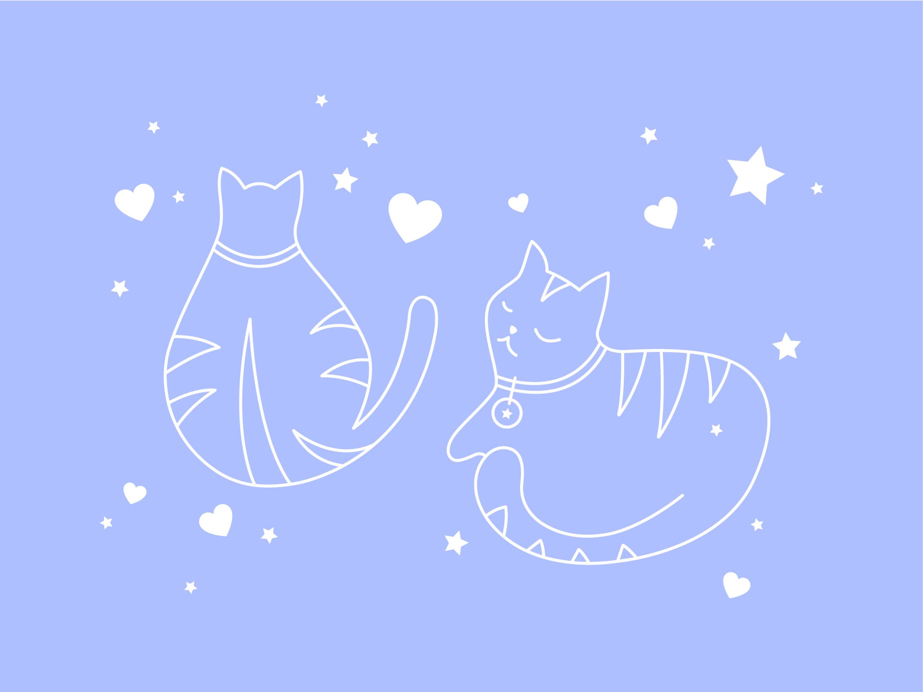 Tabby Ties by Sarah Kirkbride