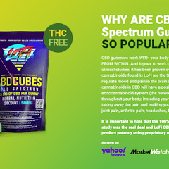 LofiCBD Gummy