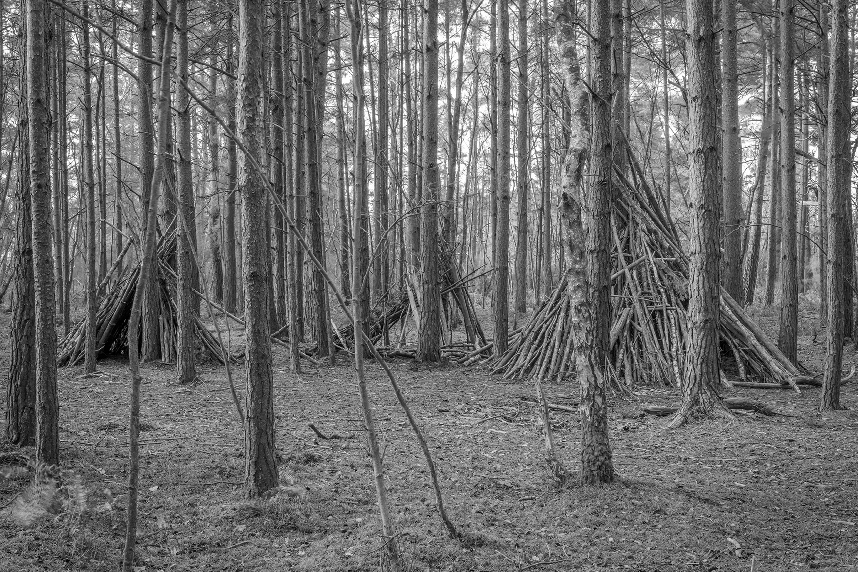 Dens by Marcus Peel