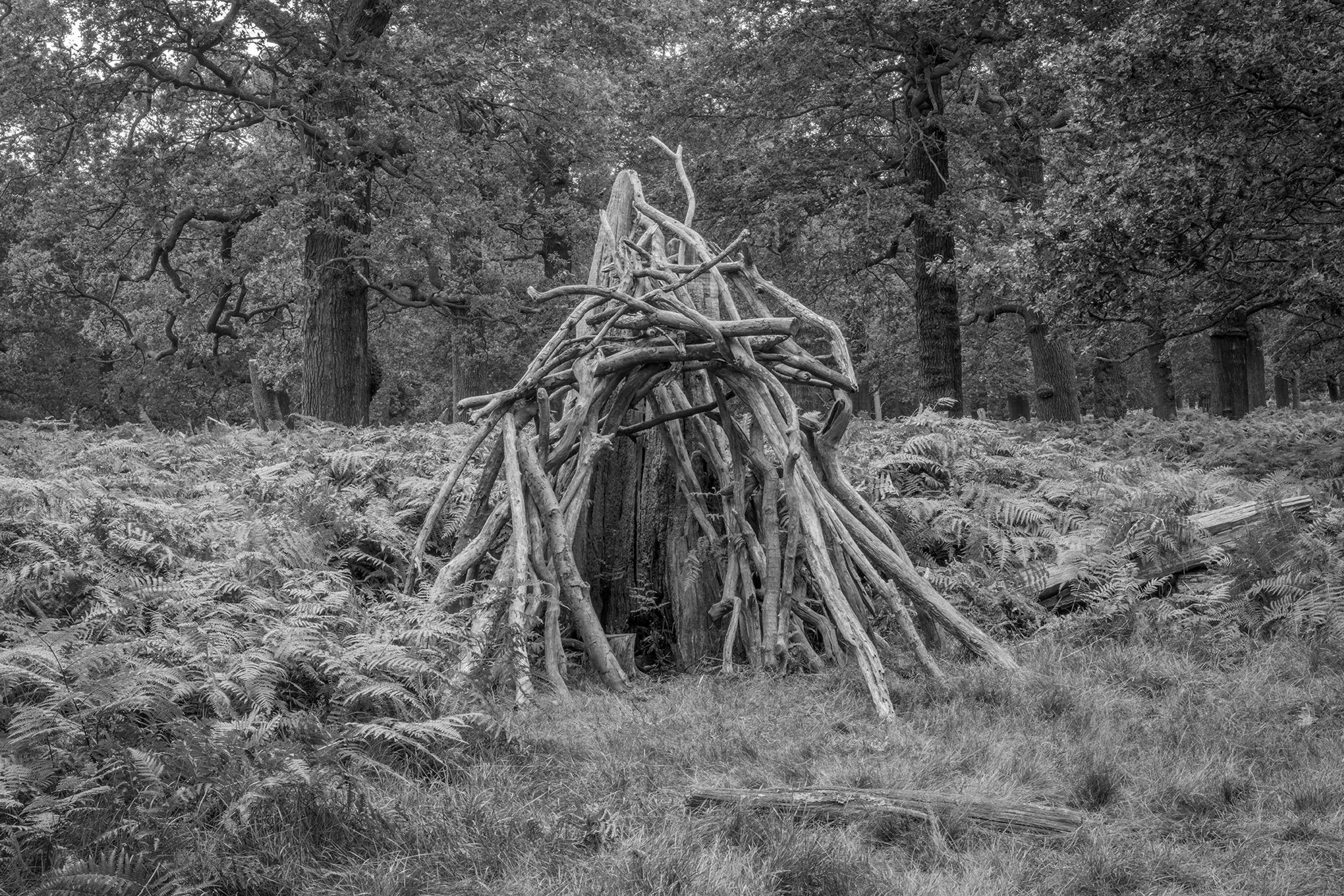 Dens by Marcus Peel
