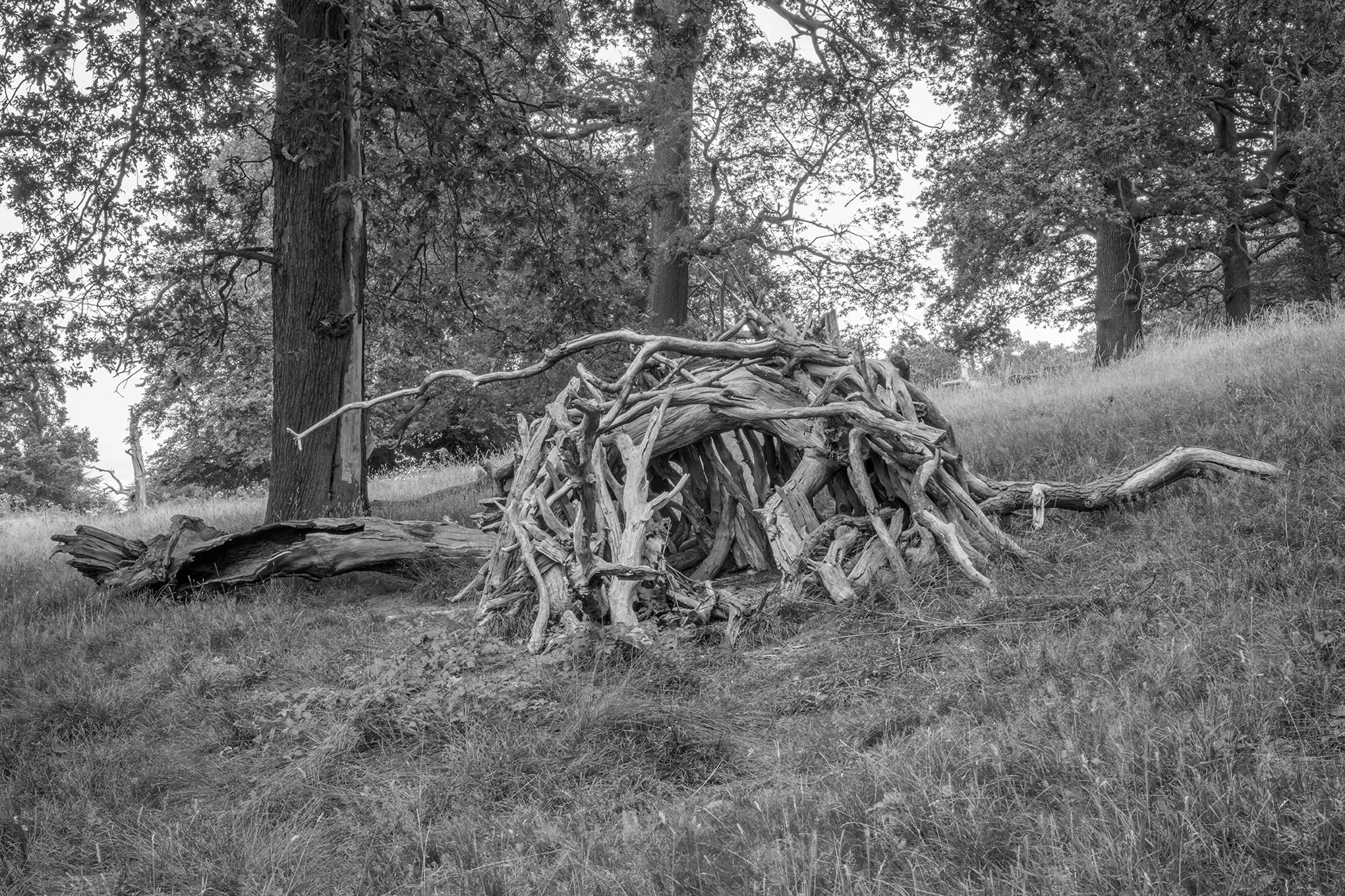 Dens by Marcus Peel