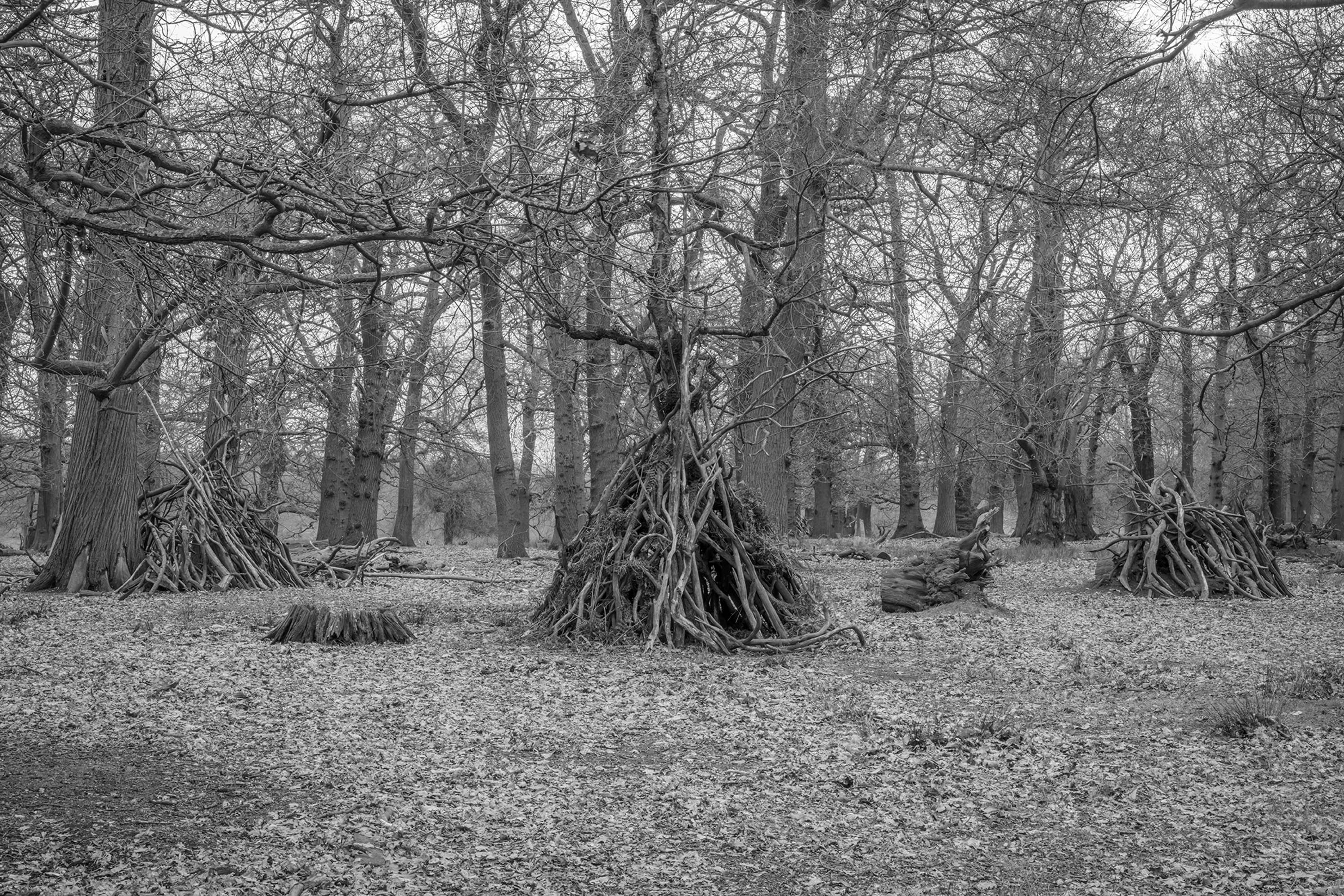 Dens by Marcus Peel