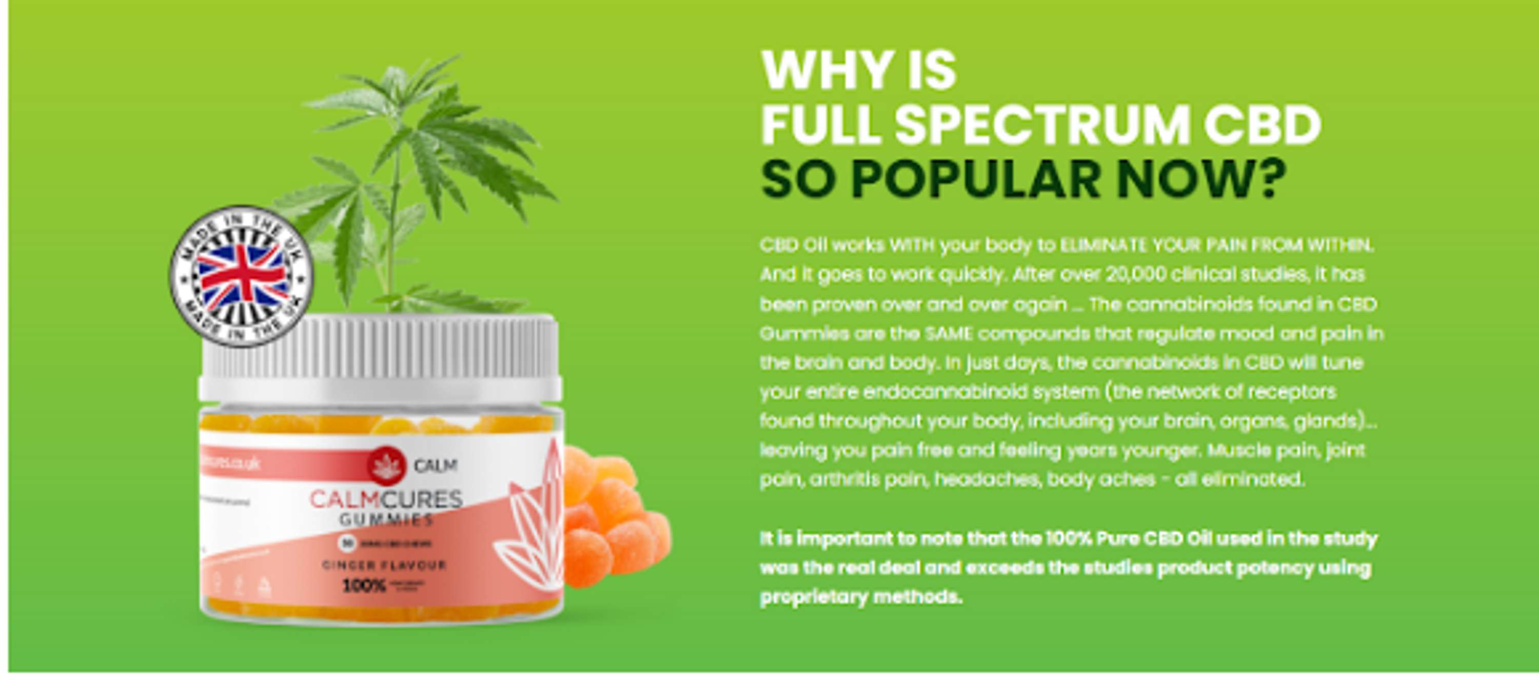 Is Calm Cures CBD Gummy Legit or Scam? by Calmcures CBD Gummies