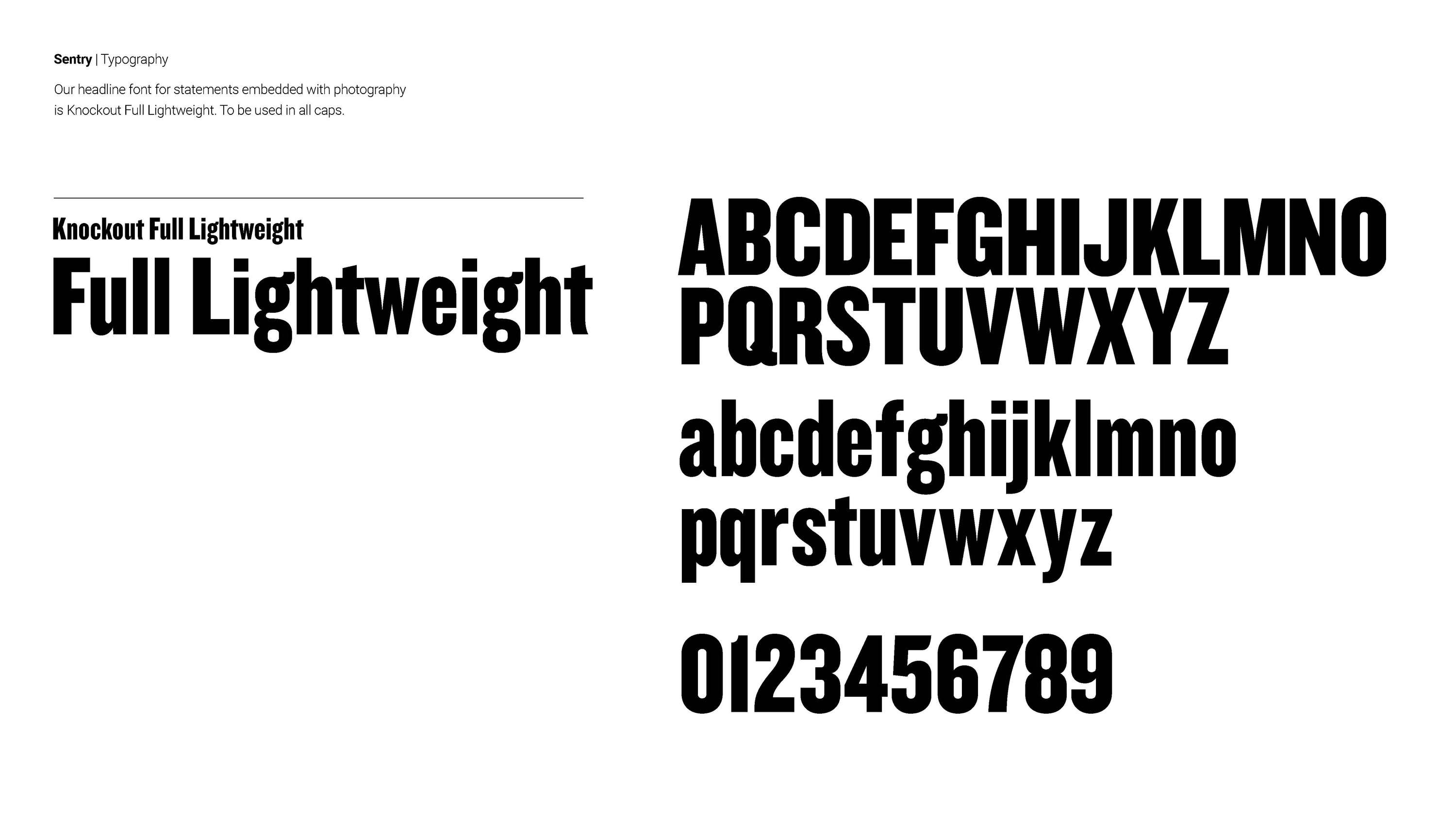 SENTRY - visual identity by Simon Hewitt
