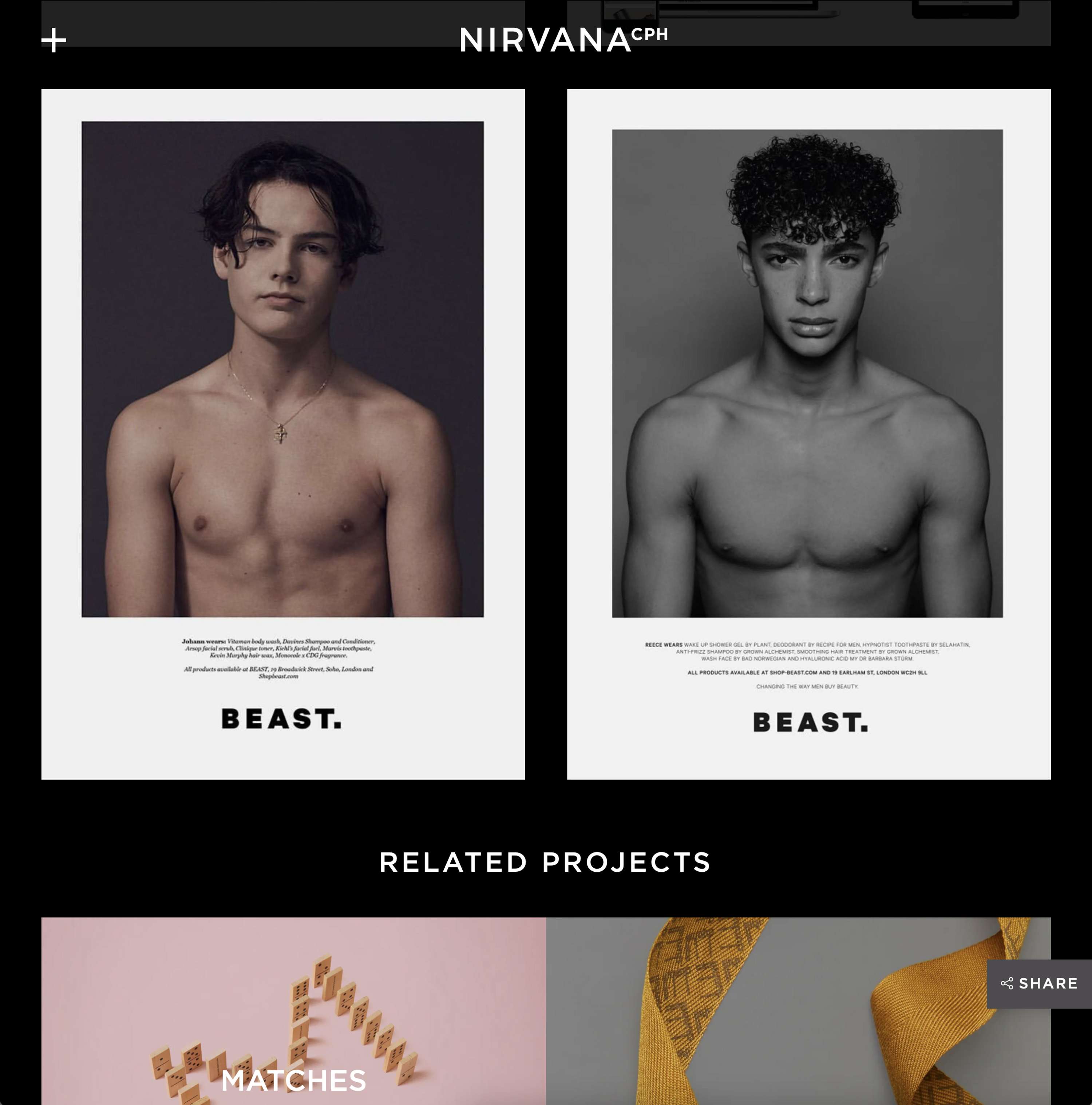 Nirvana CPH Website Design by Hales Curtis