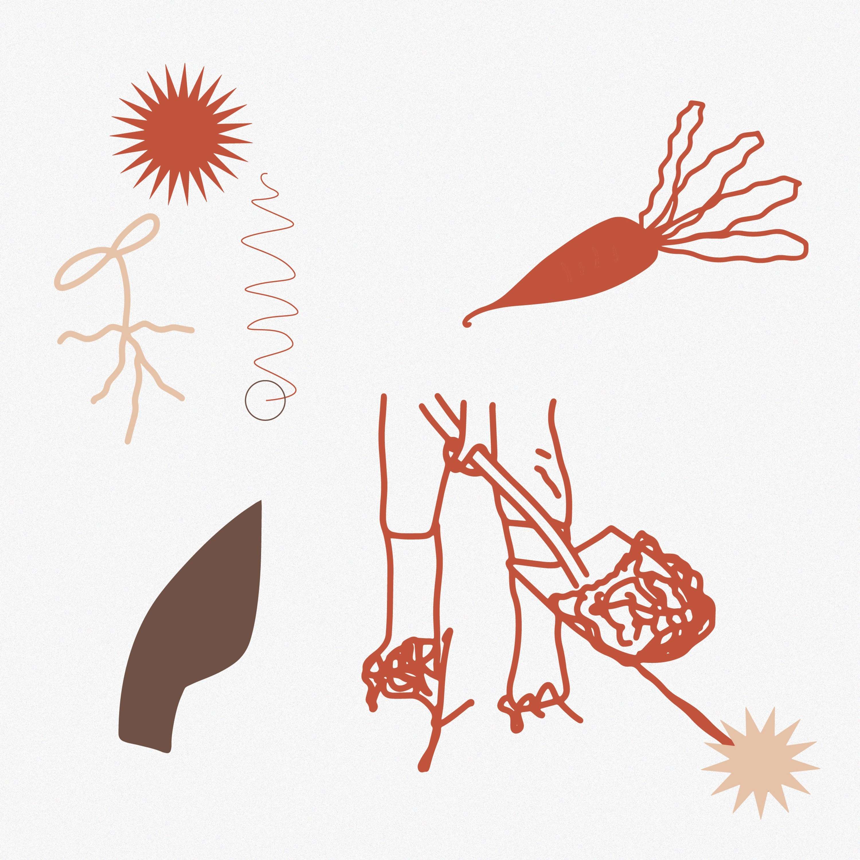 Illustrations and Graphics for MUD by Shannon Tran