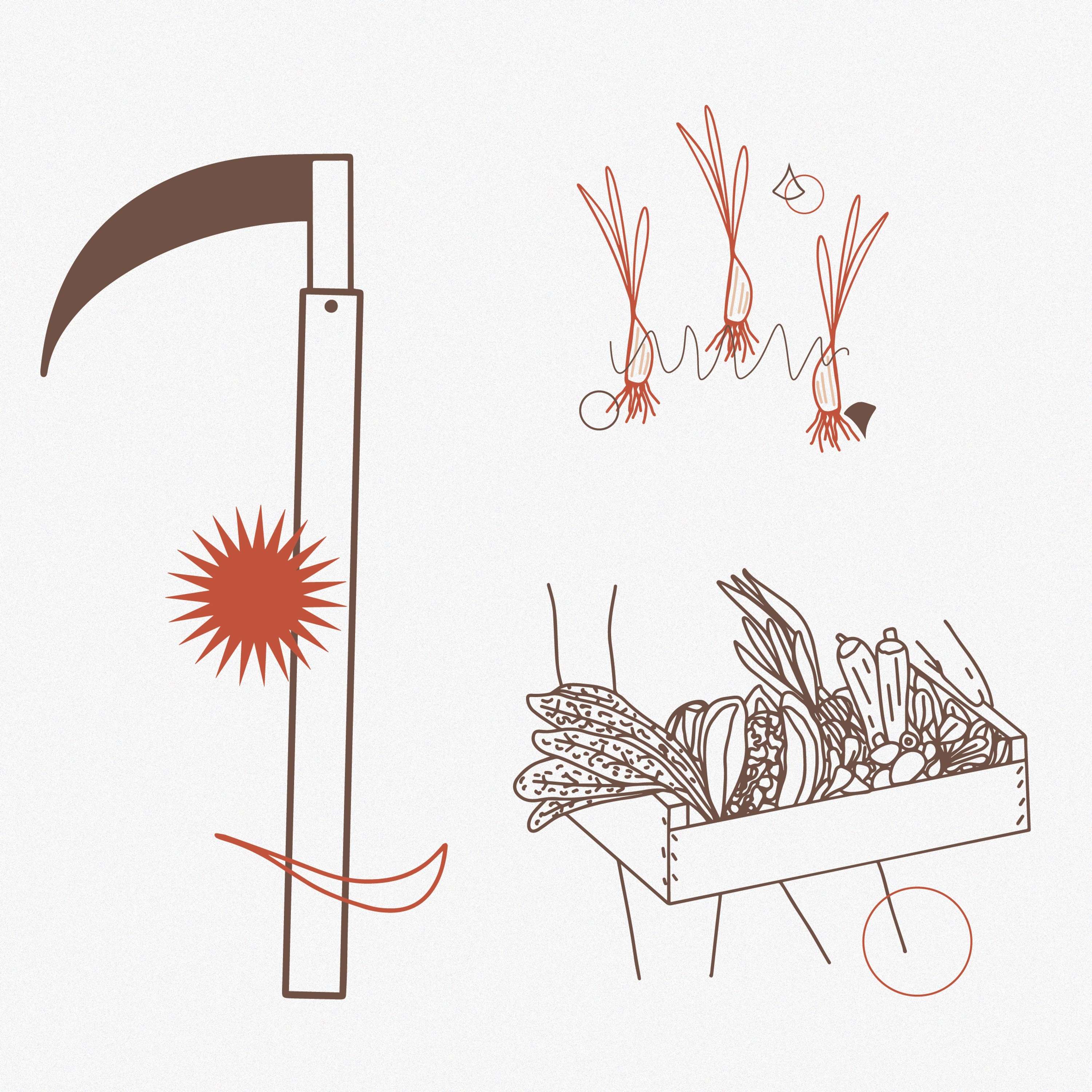 Illustrations and Graphics for MUD by Shannon Tran