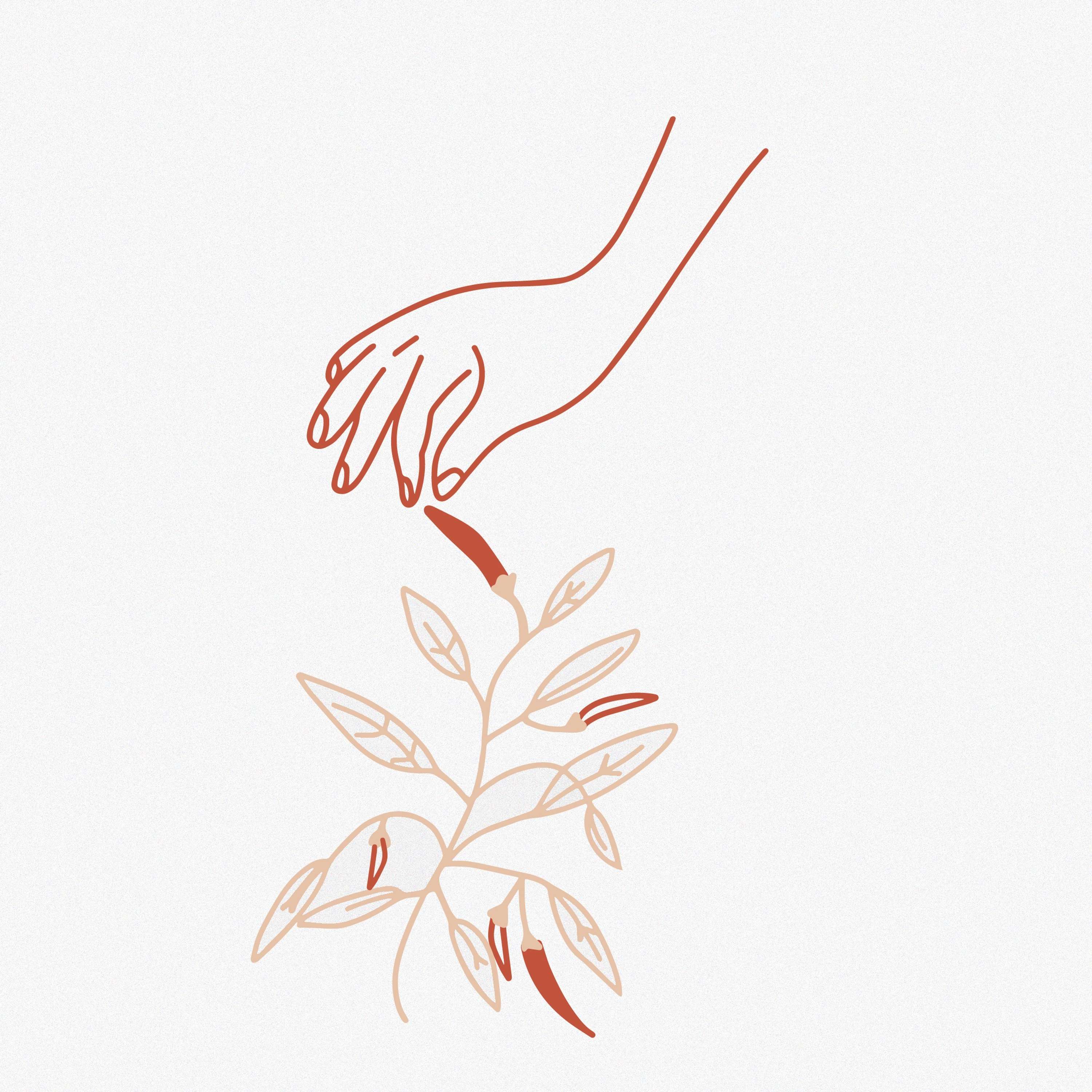 Illustrations and Graphics for MUD by Shannon Tran