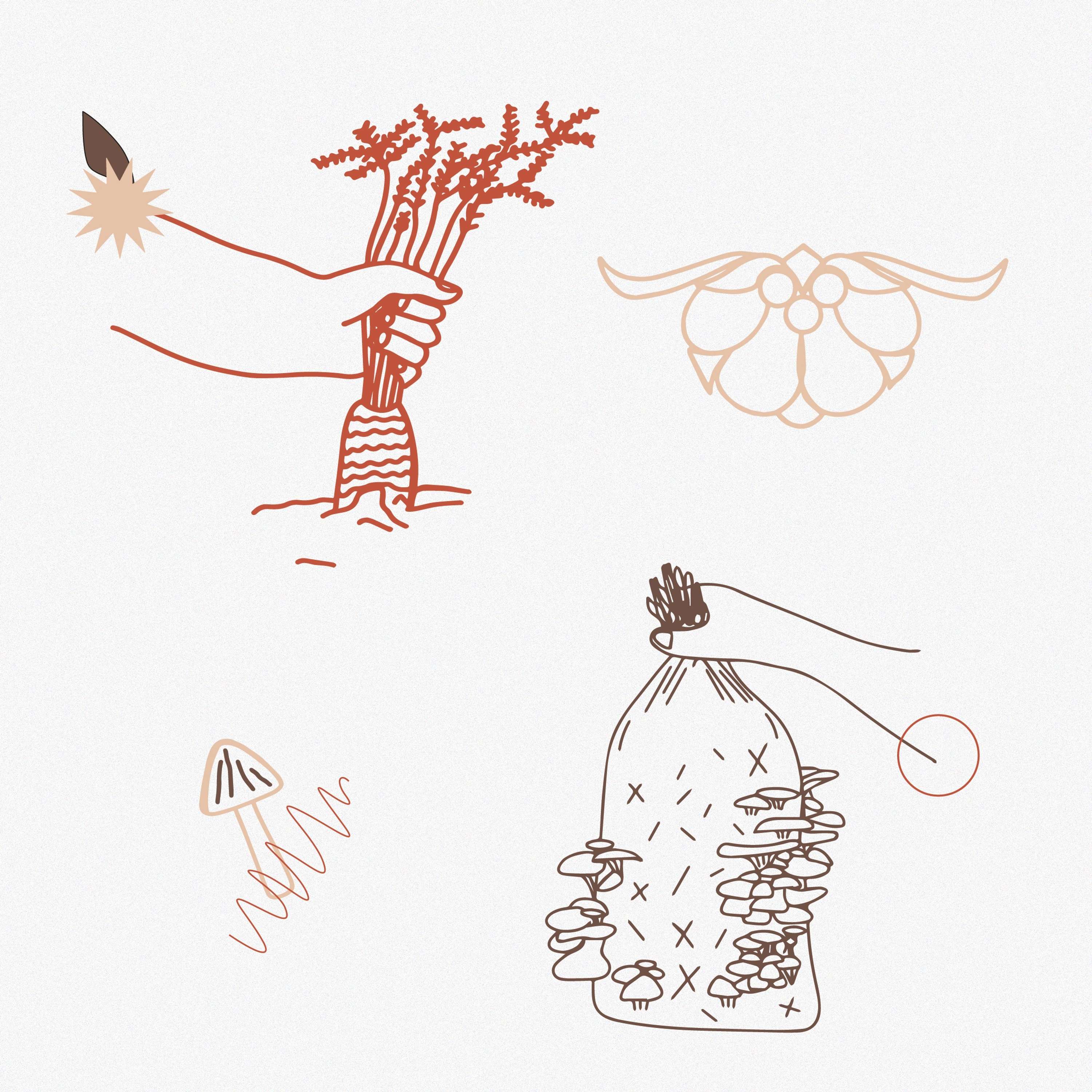 Illustrations and Graphics for MUD by Shannon Tran