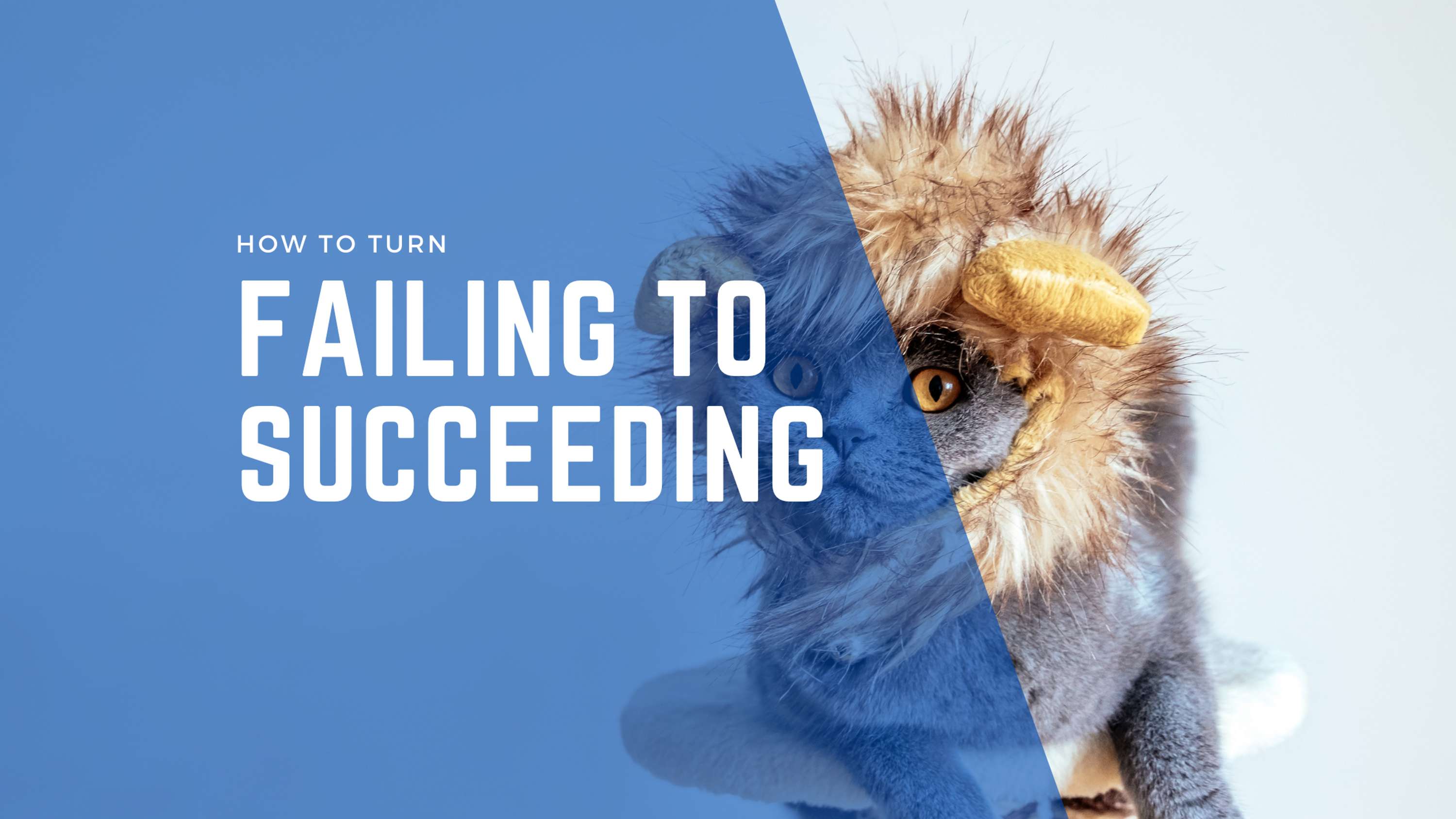 Turning Failure into Success. by Anxious As Anything