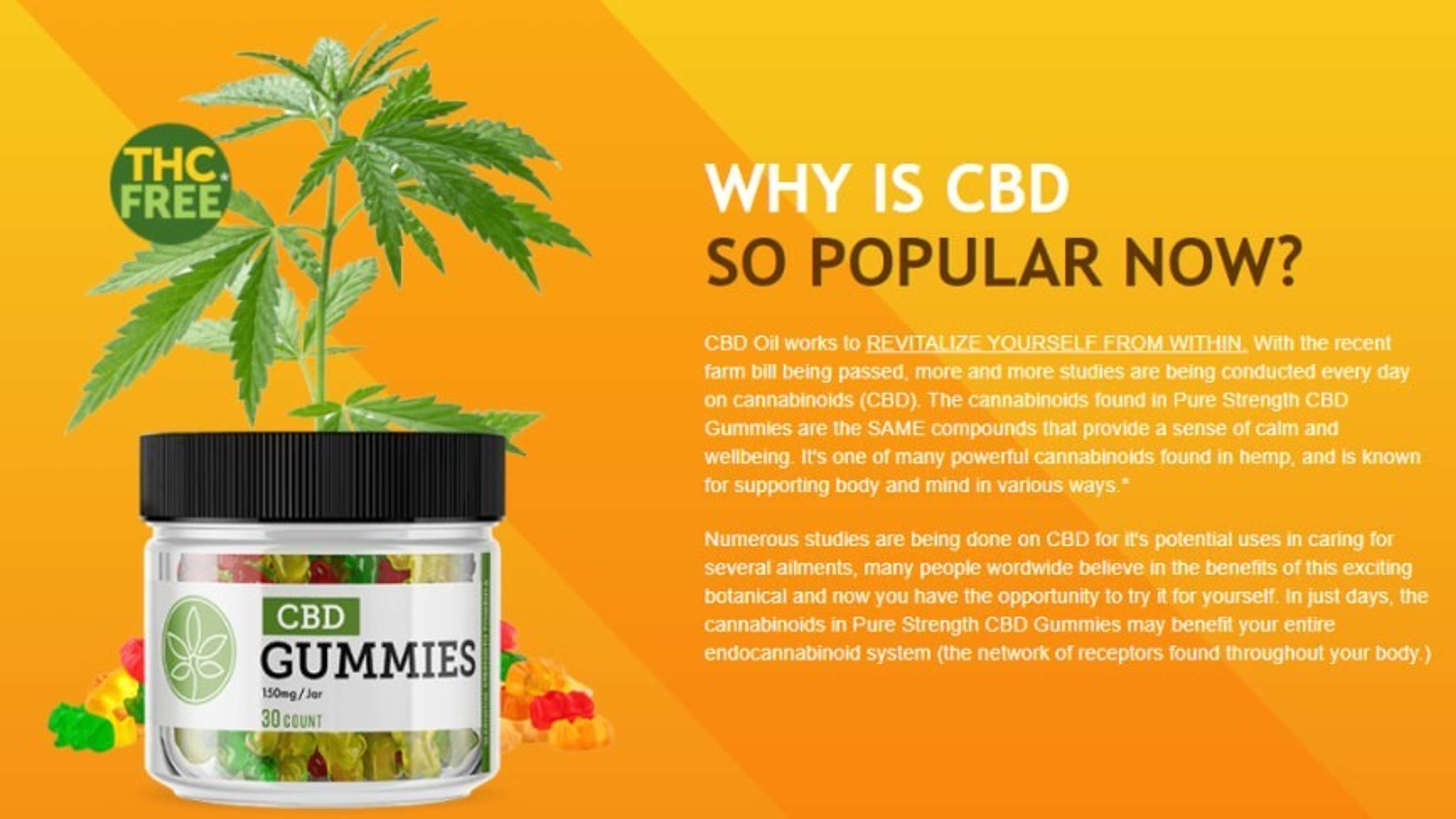 Arise Essential Cbd Gummies ( BREAKING ) : Promotes Healthy Sleep , Pain Relief! by Arise Essential Cbd Gummies