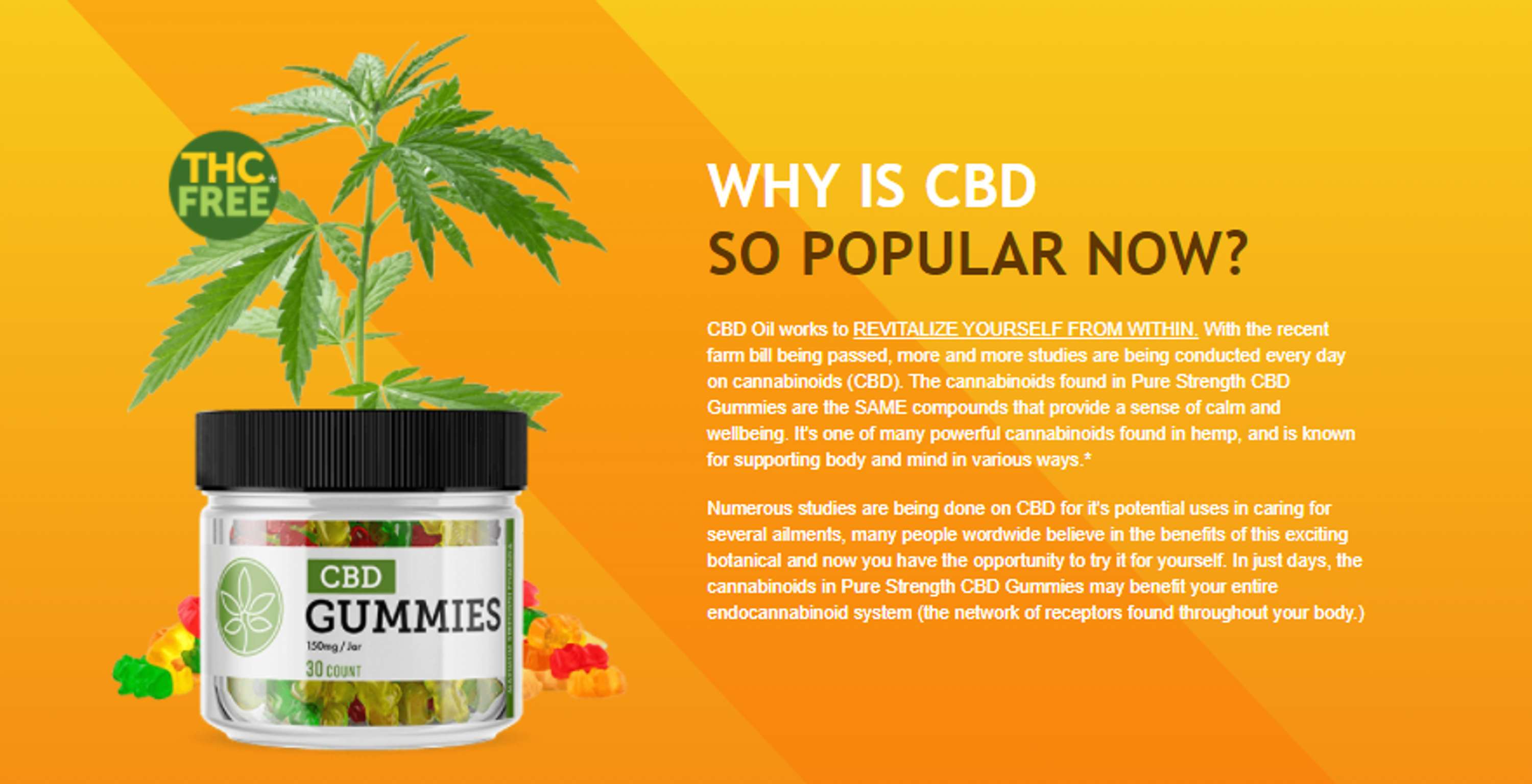 Tamra Judge CBD Gummies – Does Really Work Or Not? by Tamra Judge4
