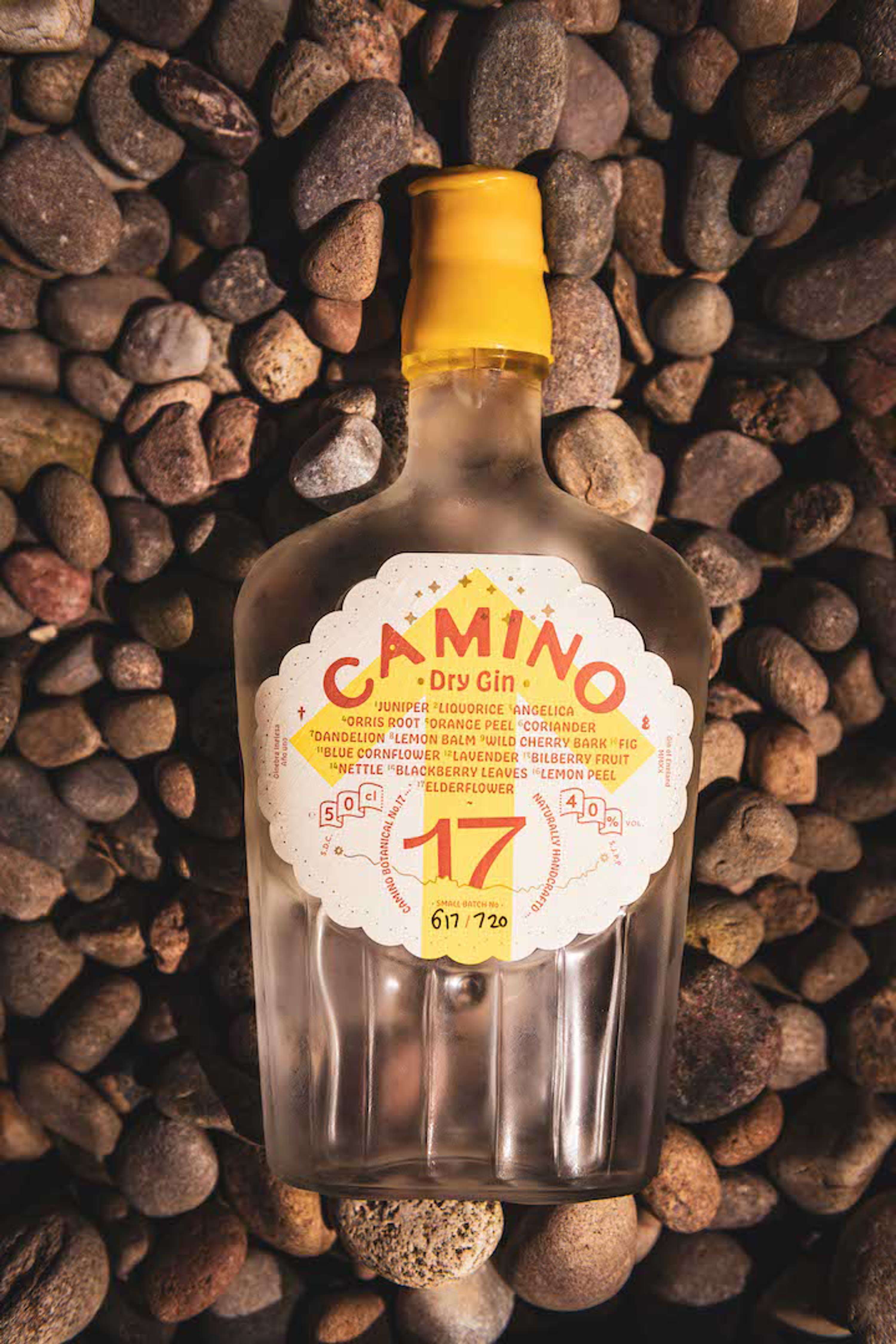 Building Brand Identity for Camino by Louis Wardle