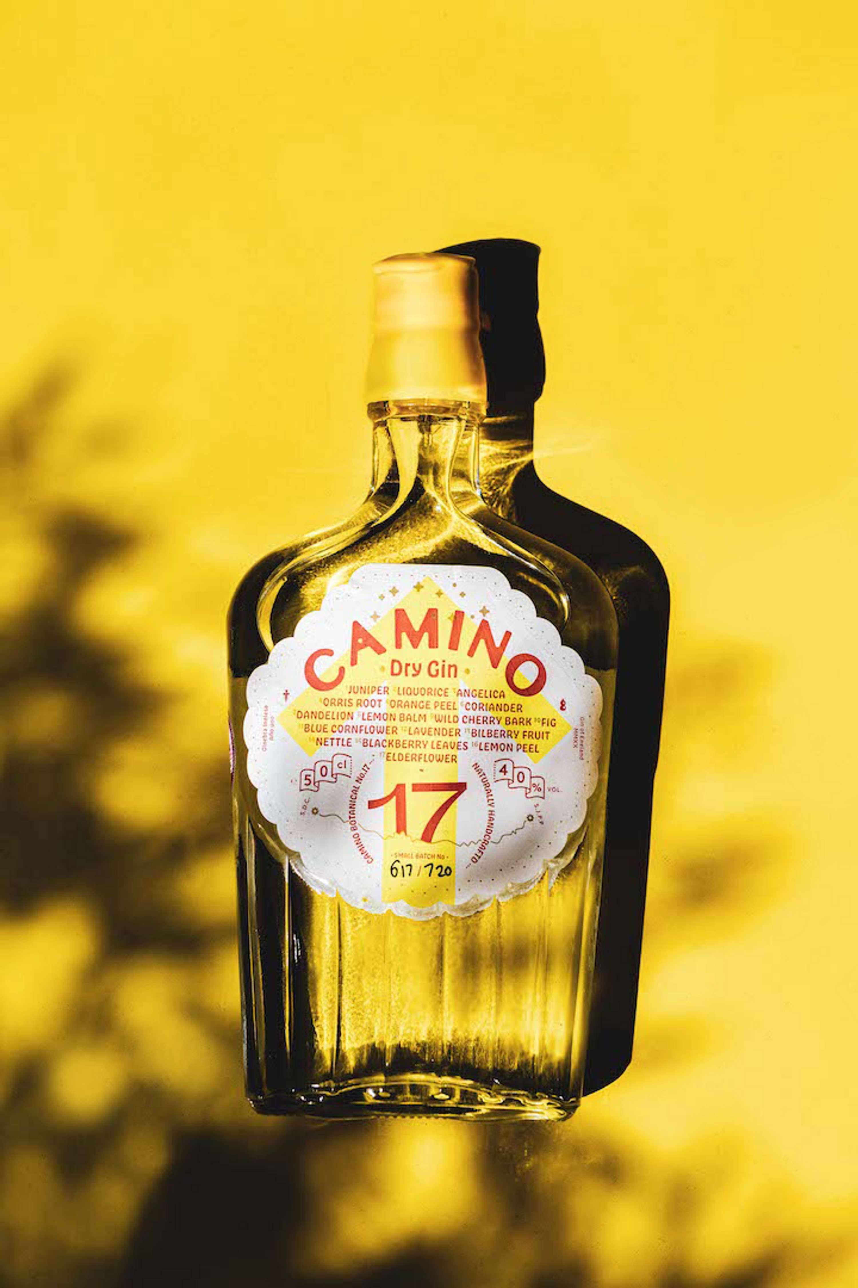 Building Brand Identity for Camino by Louis Wardle
