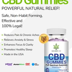 Natures Only Cbd Gummies 300 Mg