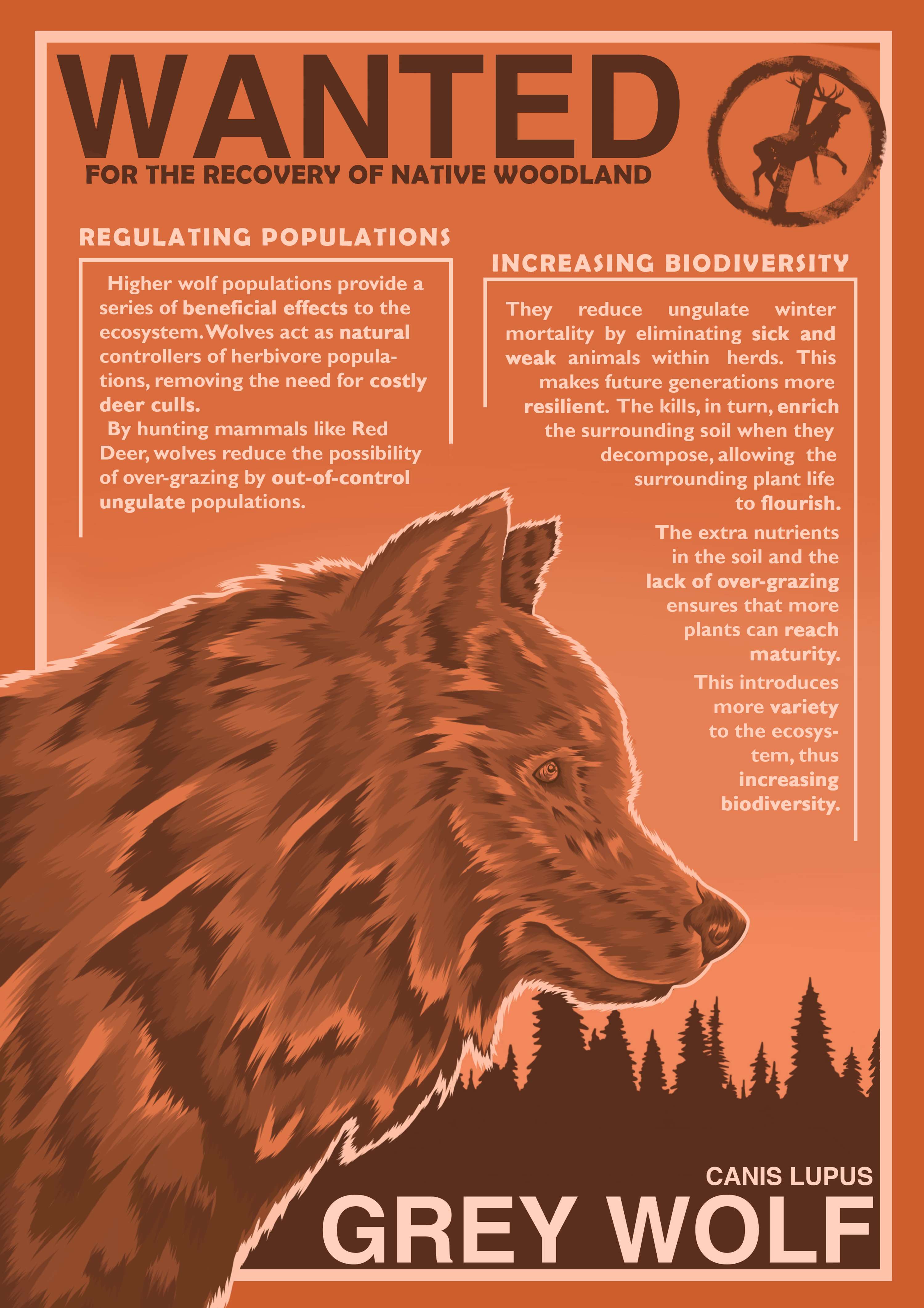 Rewilding Britain by Cooked Illustrations Ltd
