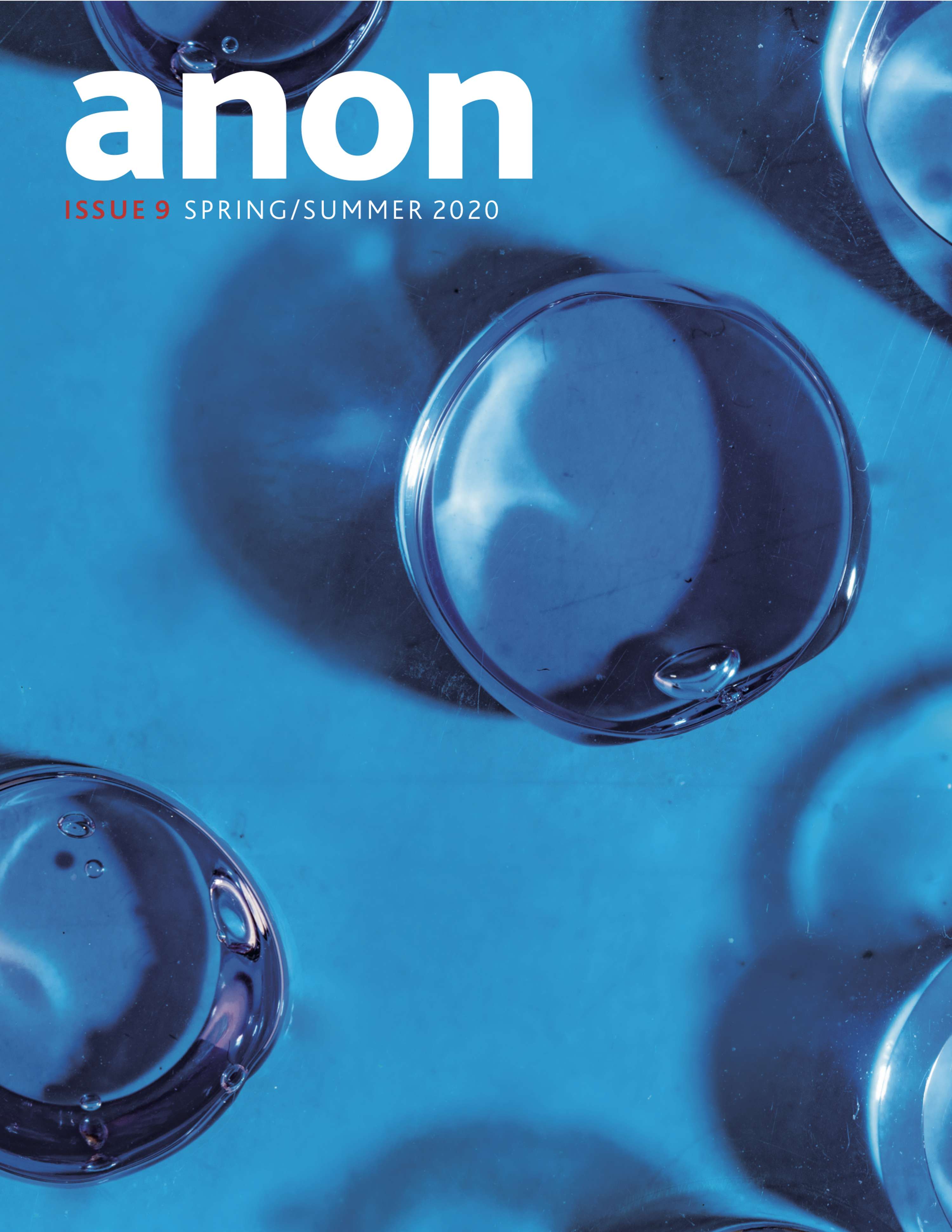 Anon Magazine Issue 9 2020 by Sasha Halsey