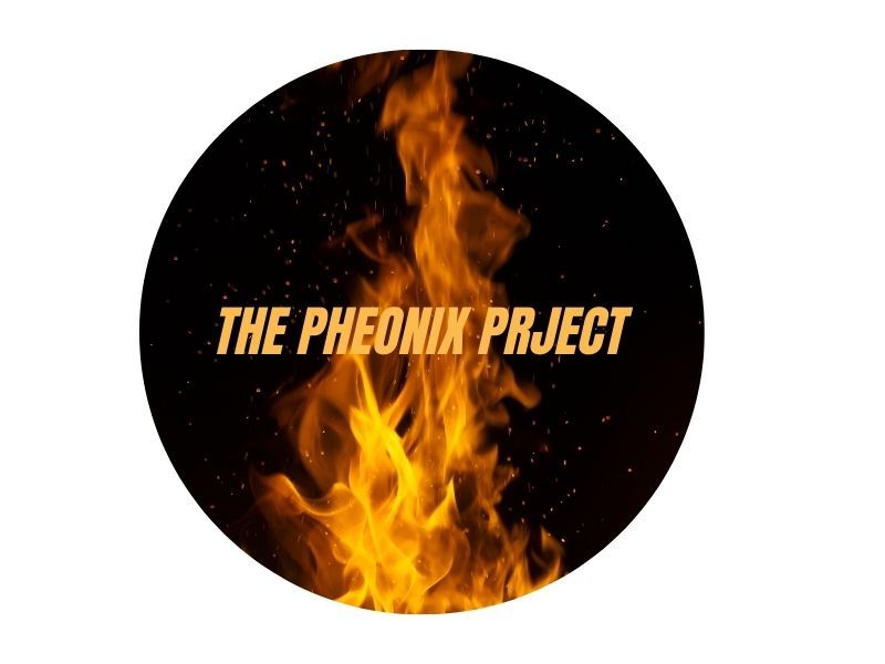 The Phoenix Project - Metaverse Photography Exhibition by Nan Di