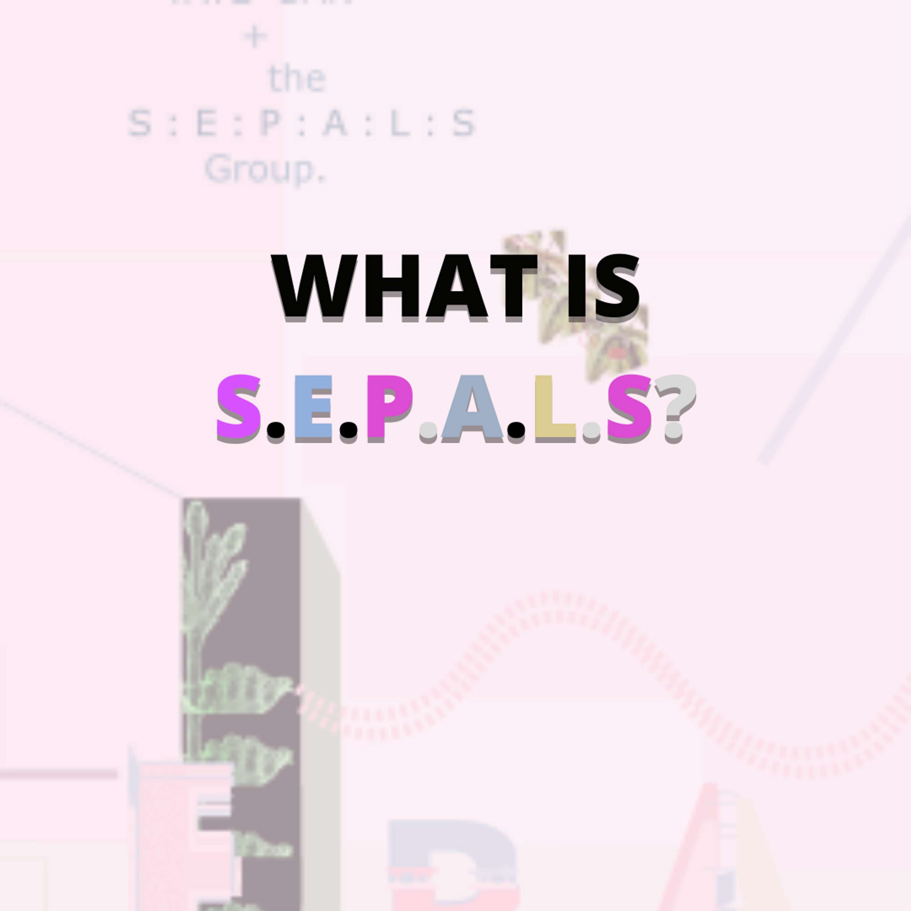 S.E.P.A.L.S by Racha Bouhouche