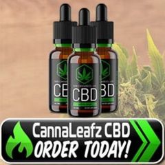 Cannaverda CBD Oil