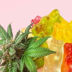 Smilz CBD Gummies Keanu Reeves